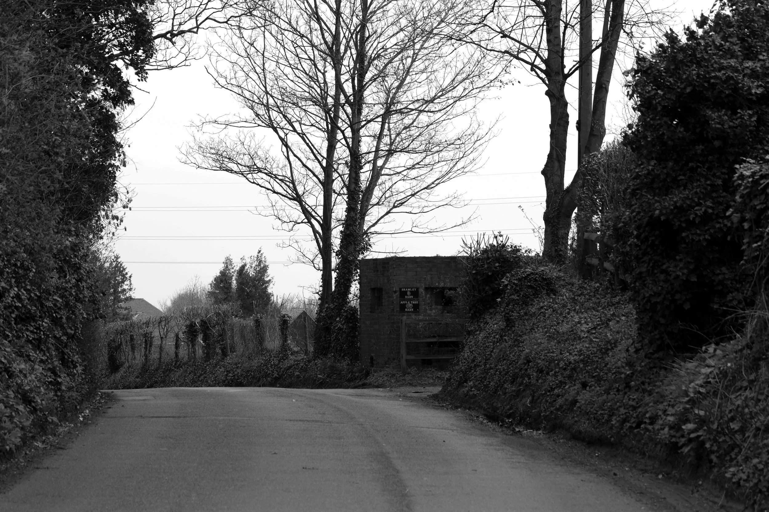 51.252456 N,1.311082 E