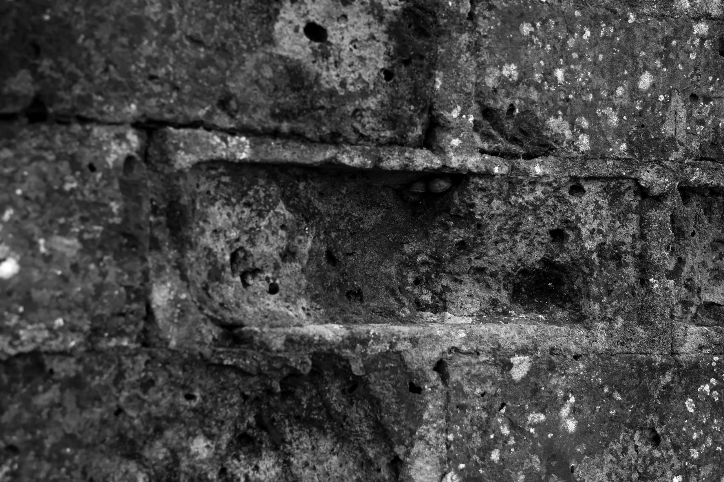 51.250517 N ,1.152374 E