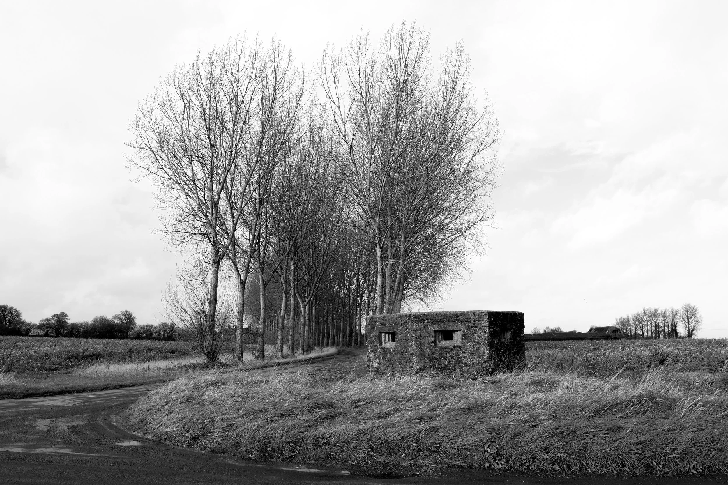 51°15'34.0"N 1°14'24.8"E