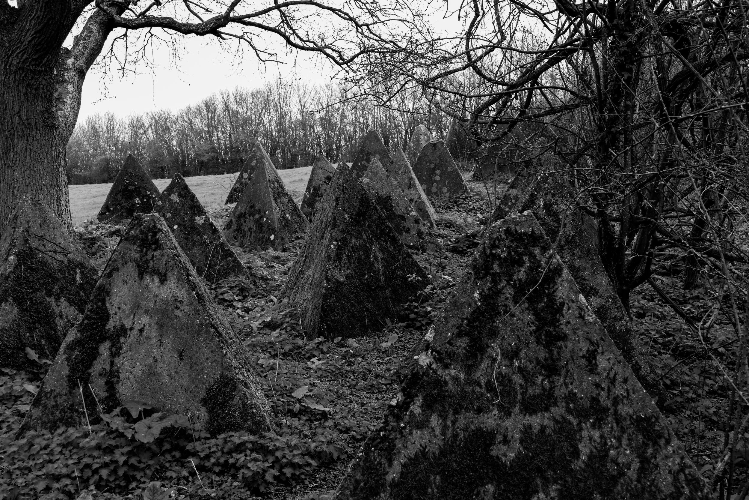 51.257732 N,1.152581 E