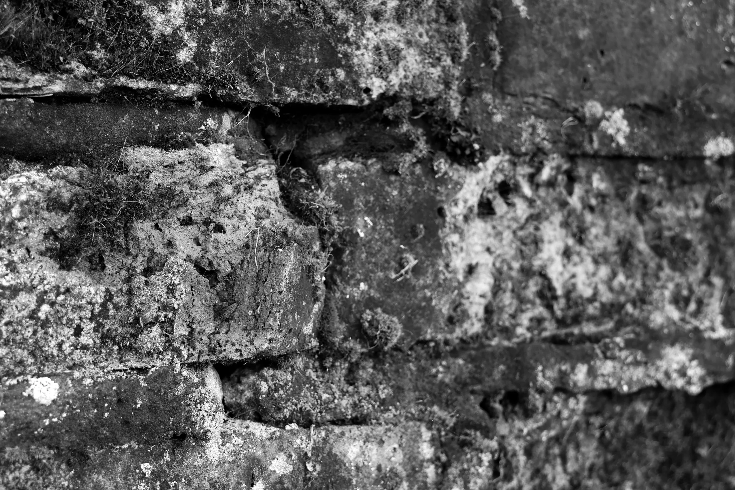 51°14'53.5"N 1°15'24.0"E