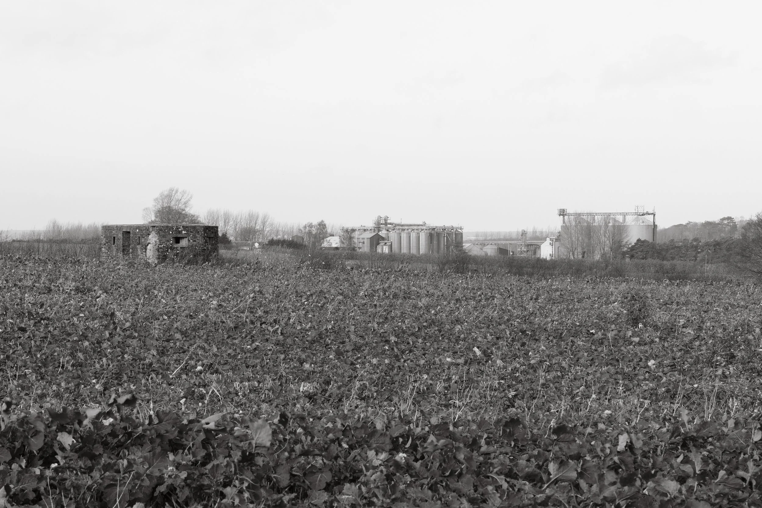 51°15'34.0"N 1°14'24.8"E