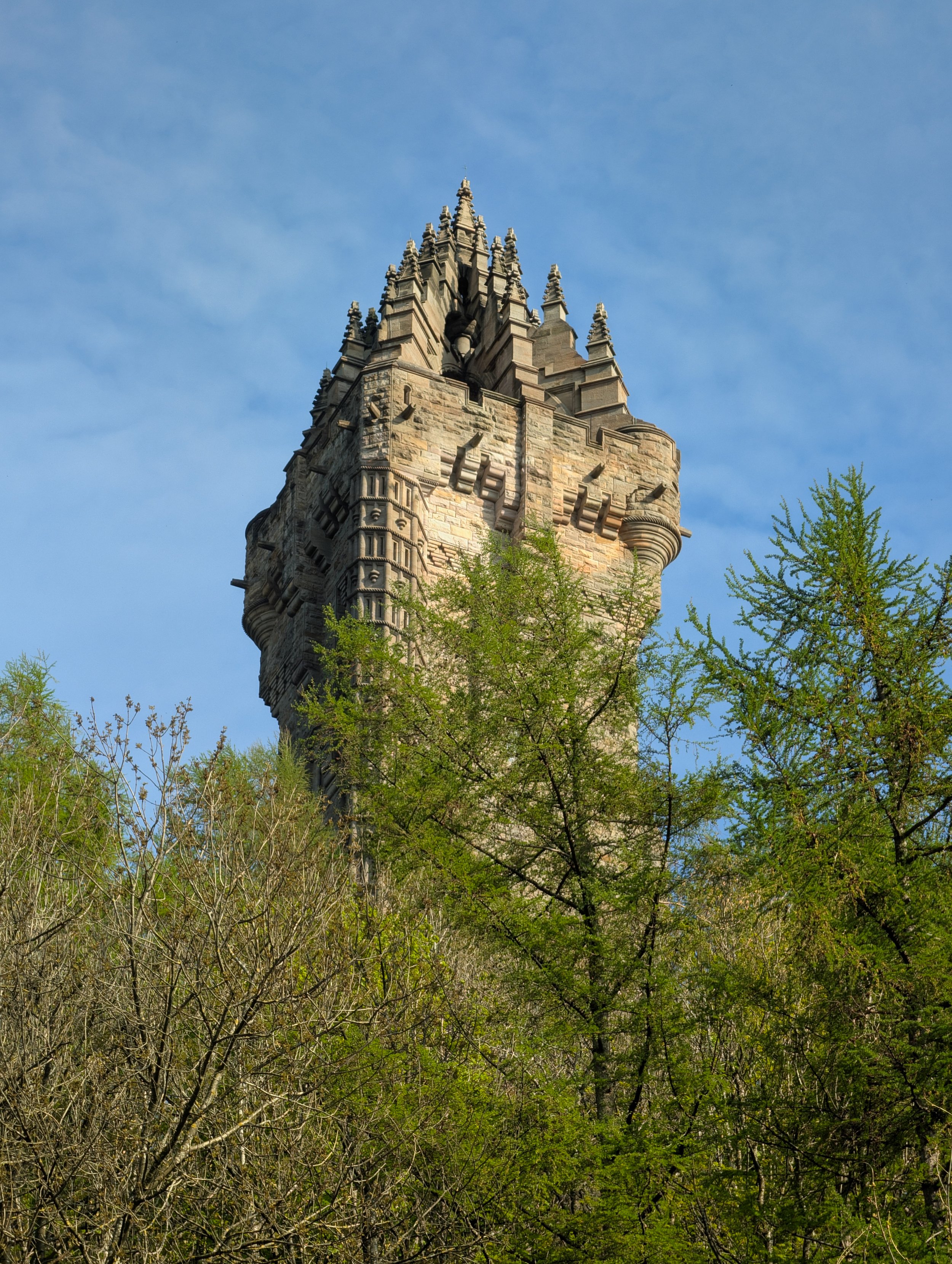 PXL_20260426_161203463.jpg