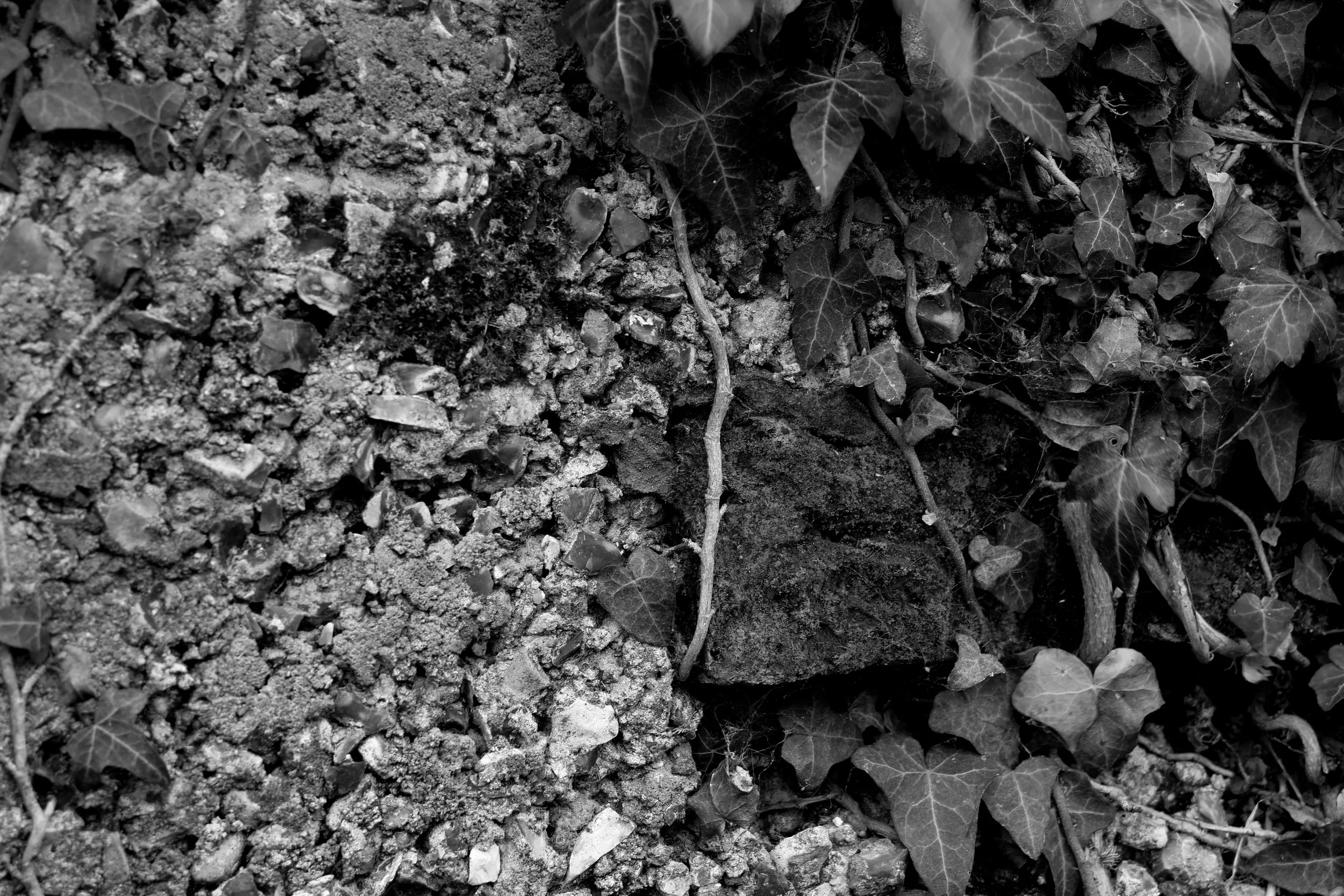 51.266010 N,1.191791 E