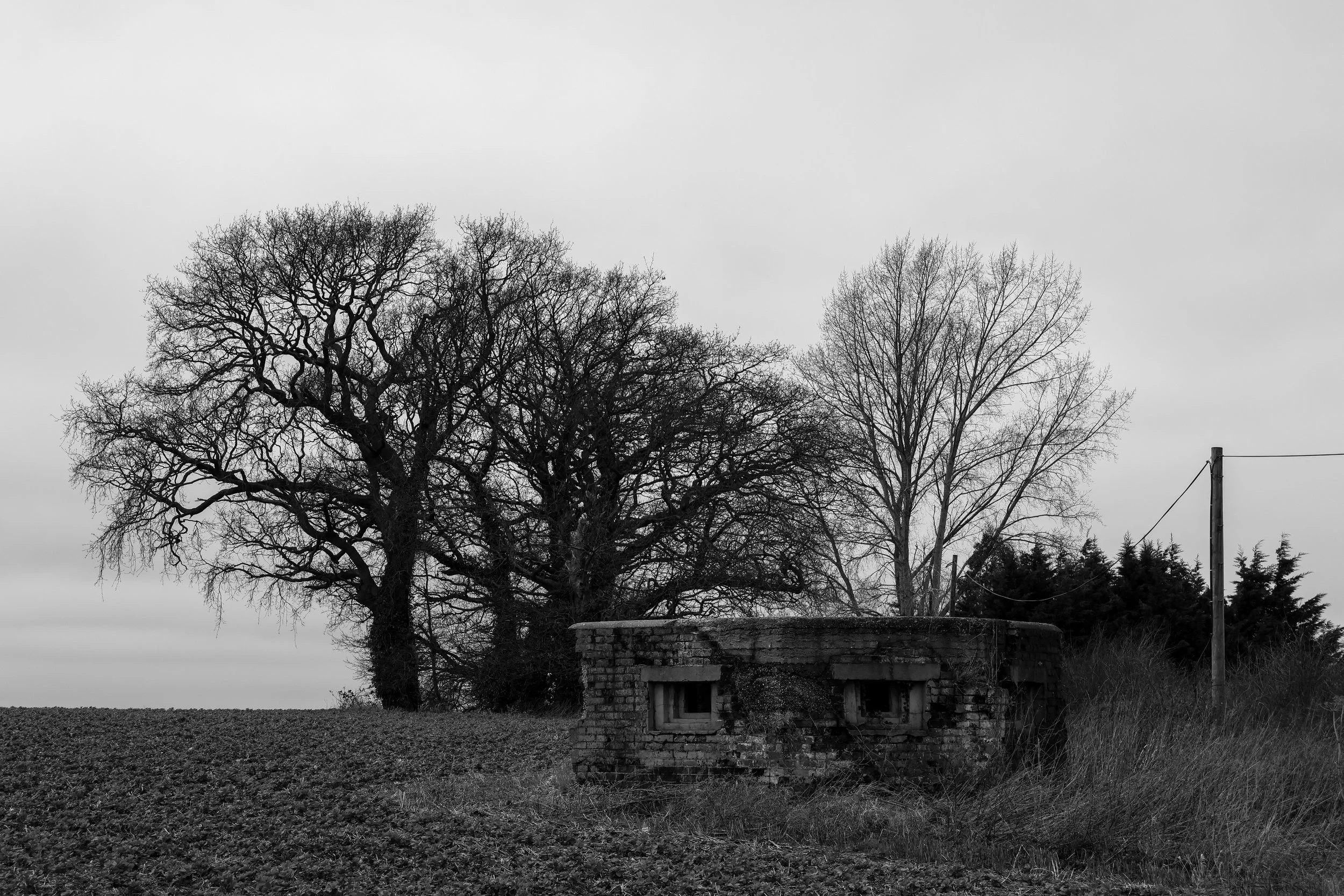 51°15'55.1"N 1°13'52.6"E