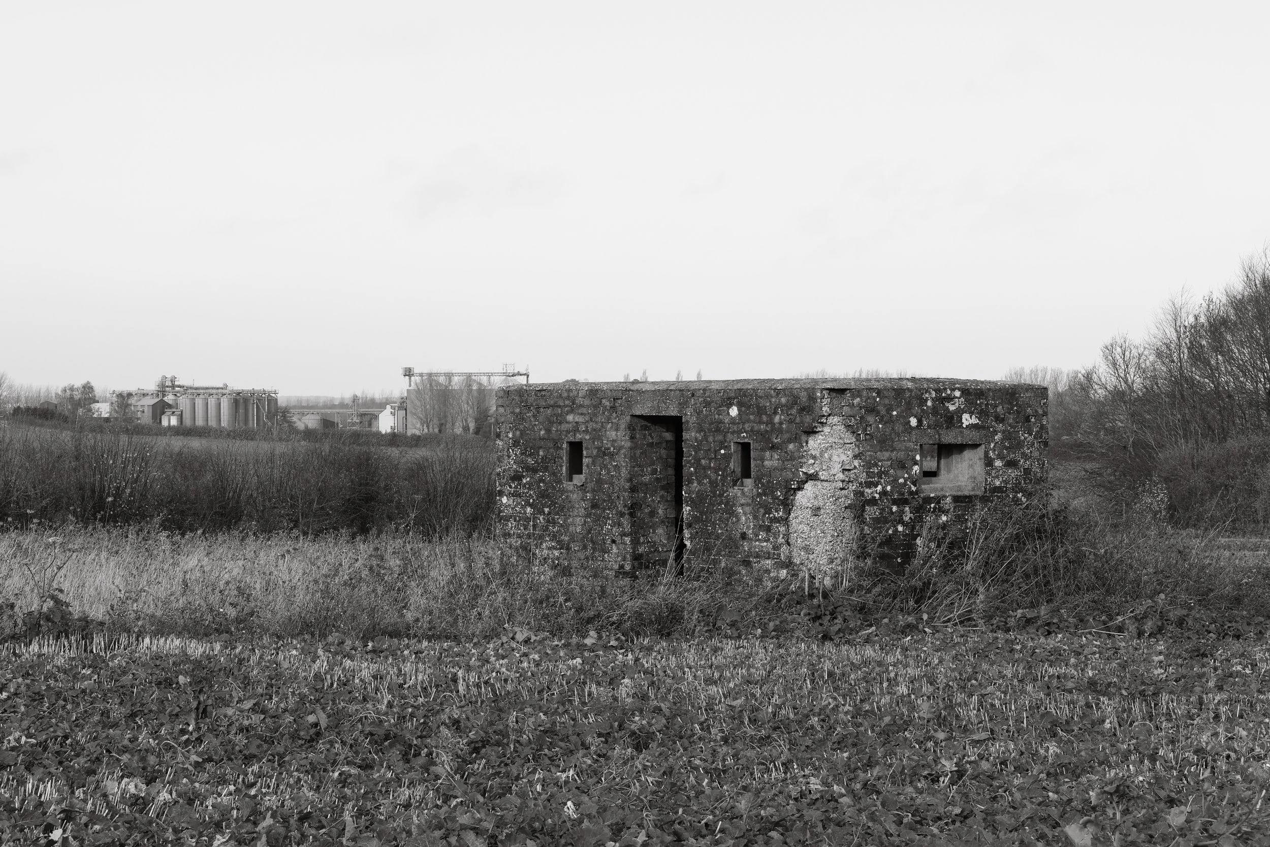 51°15'34.0"N 1°14'24.8"E