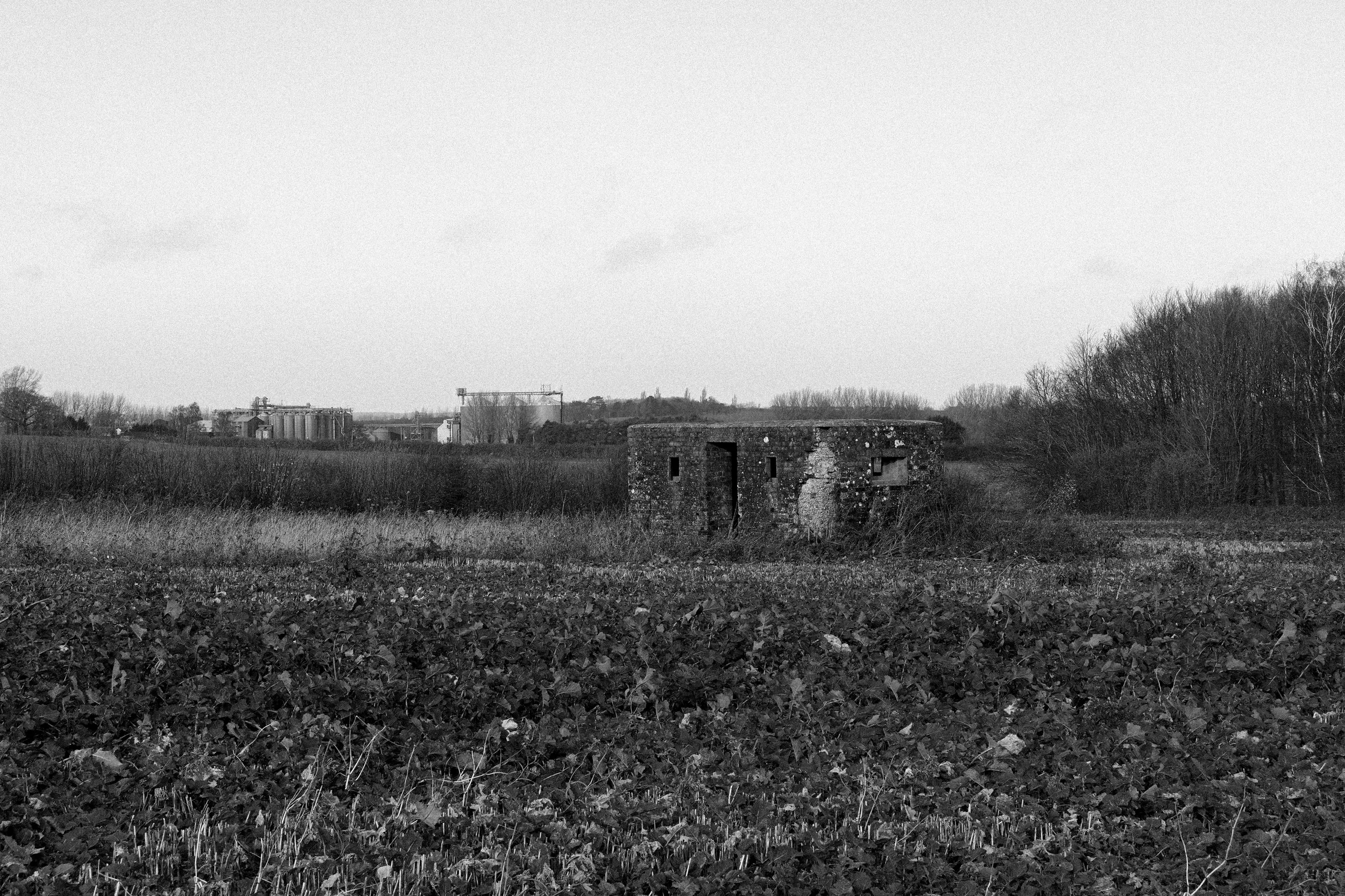 51°15'34.0"N 1°14'24.8"E