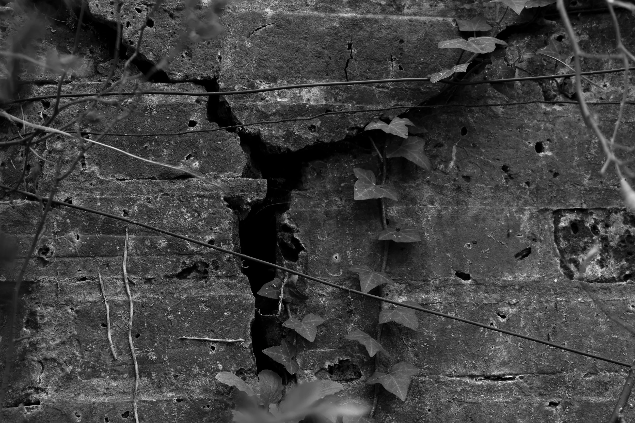 51.252456 N,1.311082 E