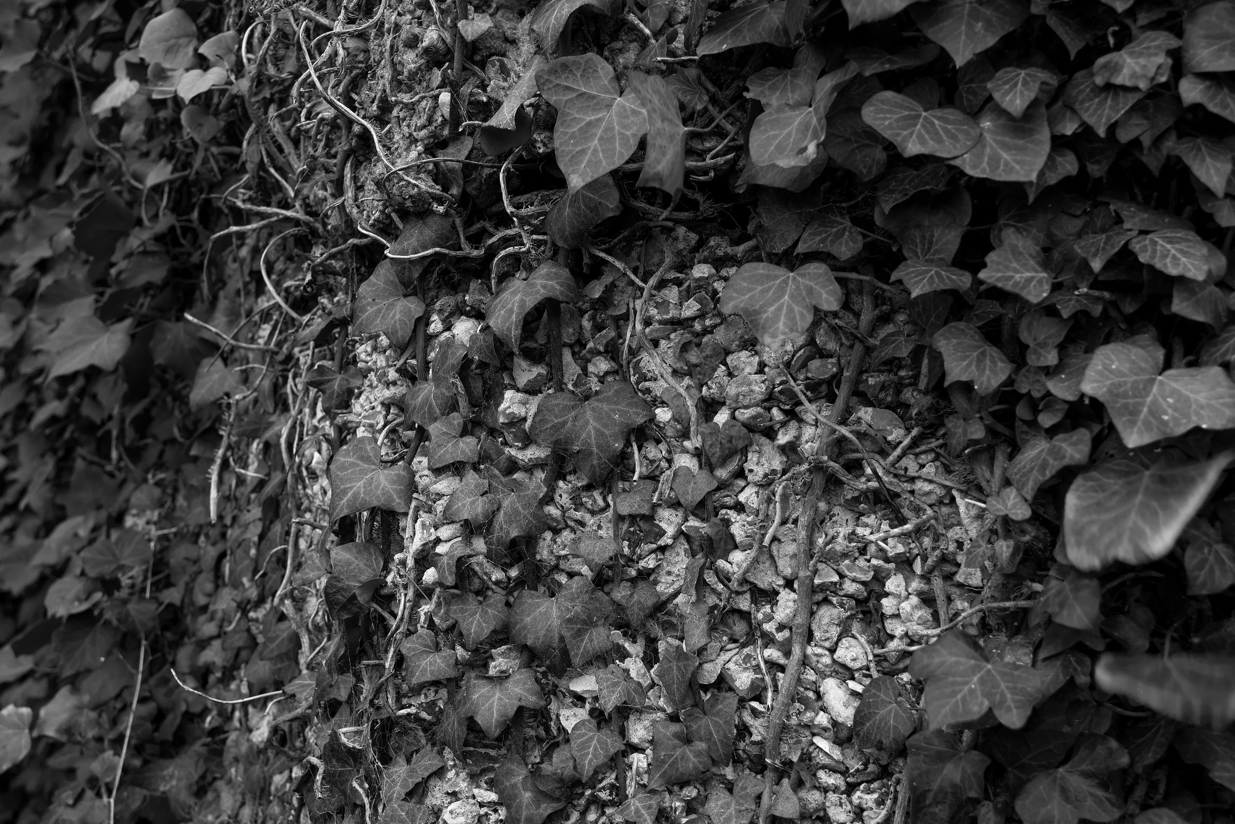 51.266010 N,1.191791 E