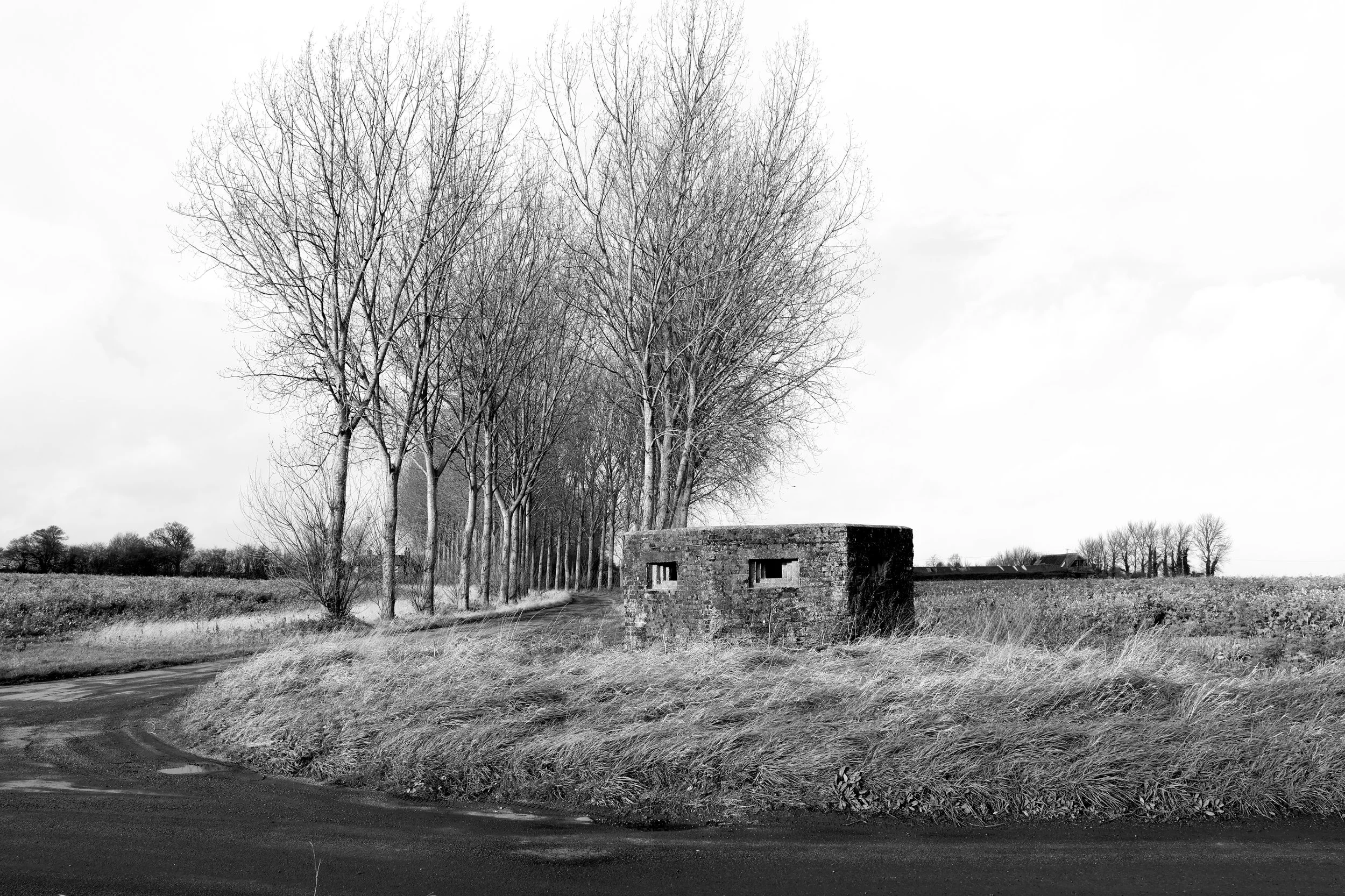 51°15'34.0"N 1°14'24.8"E