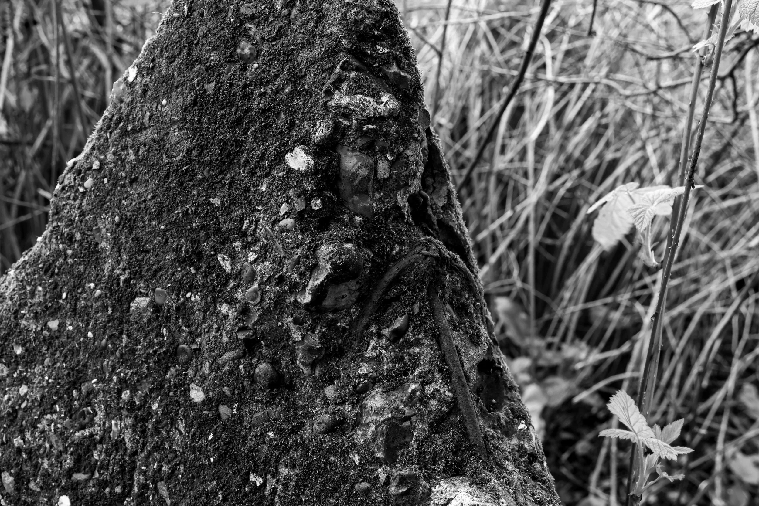 51.257732 N,1.152581 E