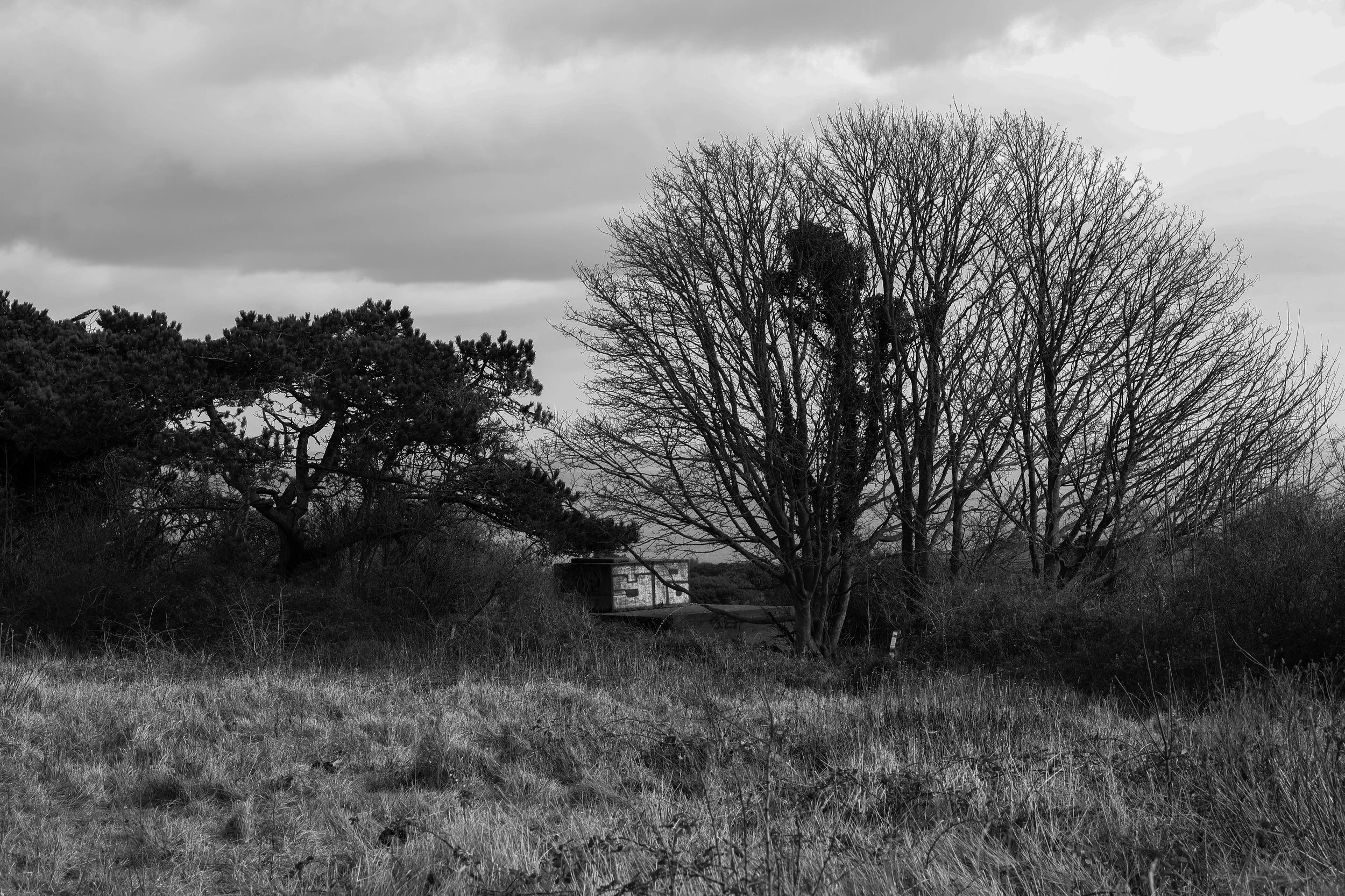 51°08'40.0"N 1°22'21.9"E