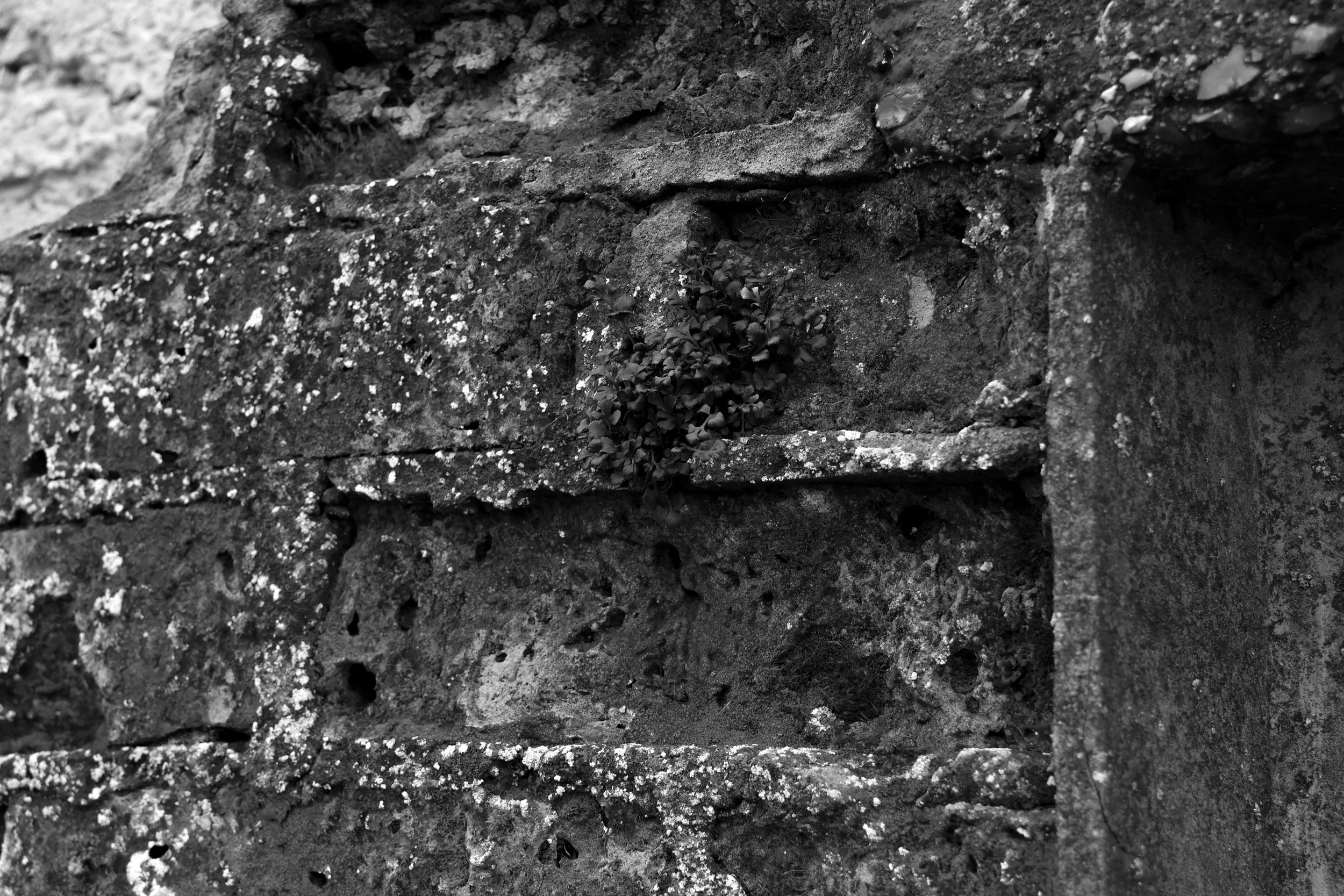 51.1454.1 N 1.1607.2 E