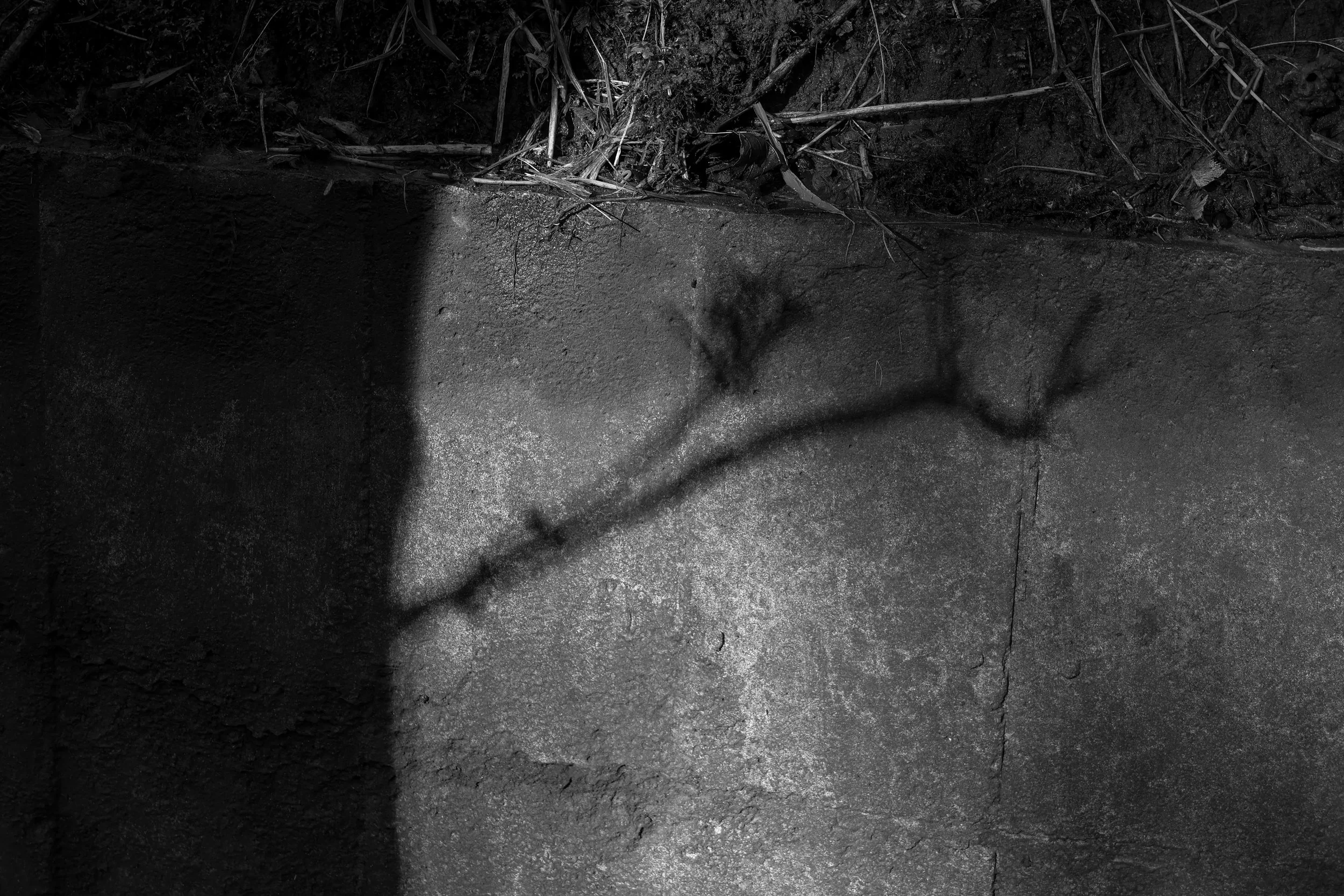 51°08'28.9"N 1°22'16.9"E