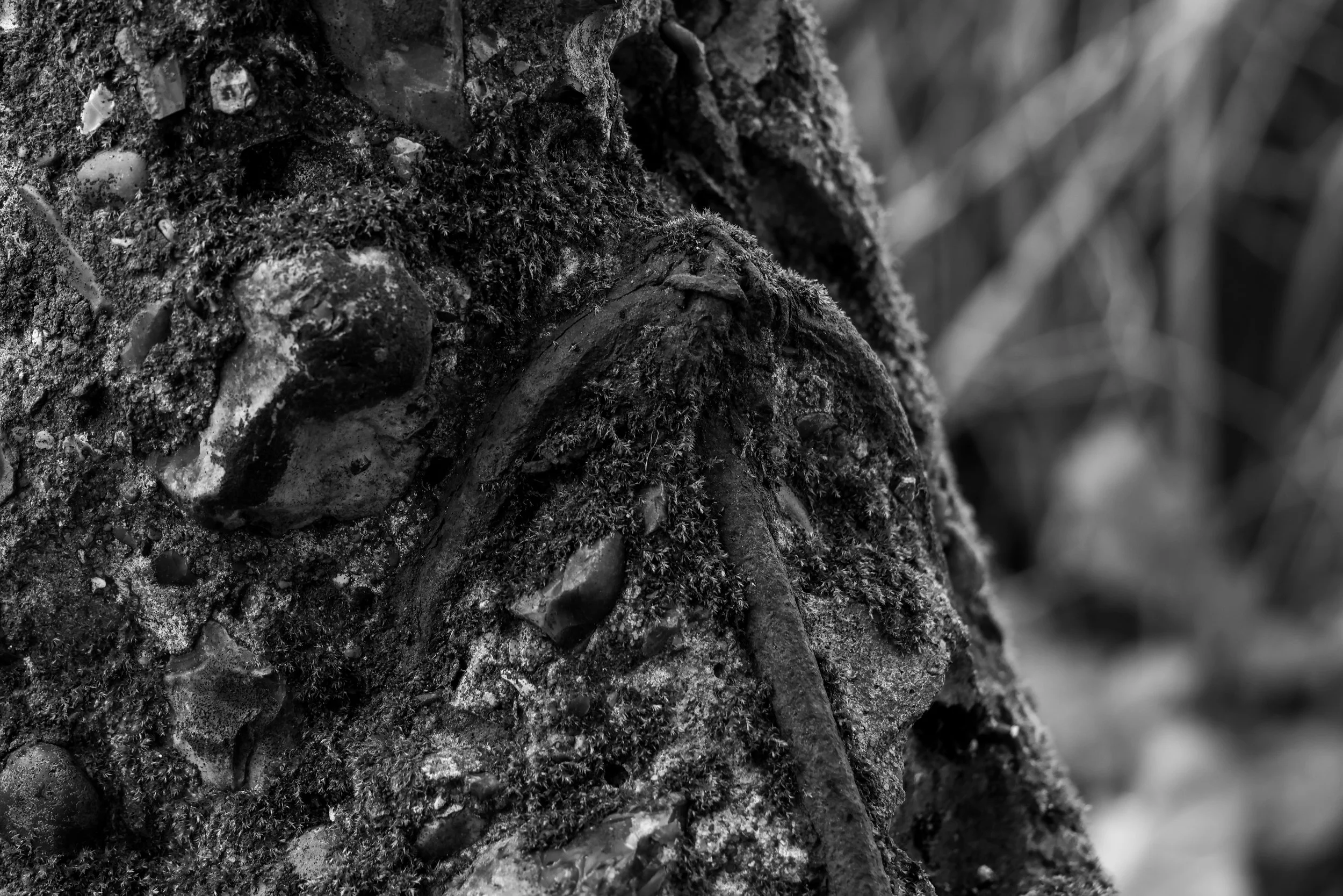 51.257732 N,1.152581 E