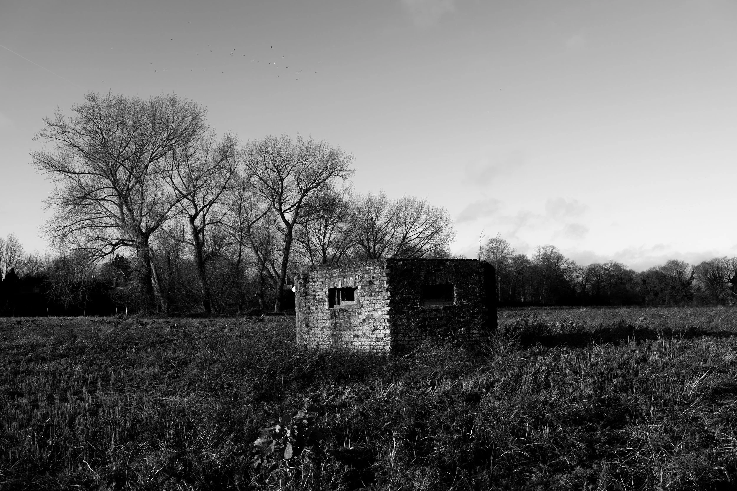 51°14'53.5"N 1°15'24.0"E