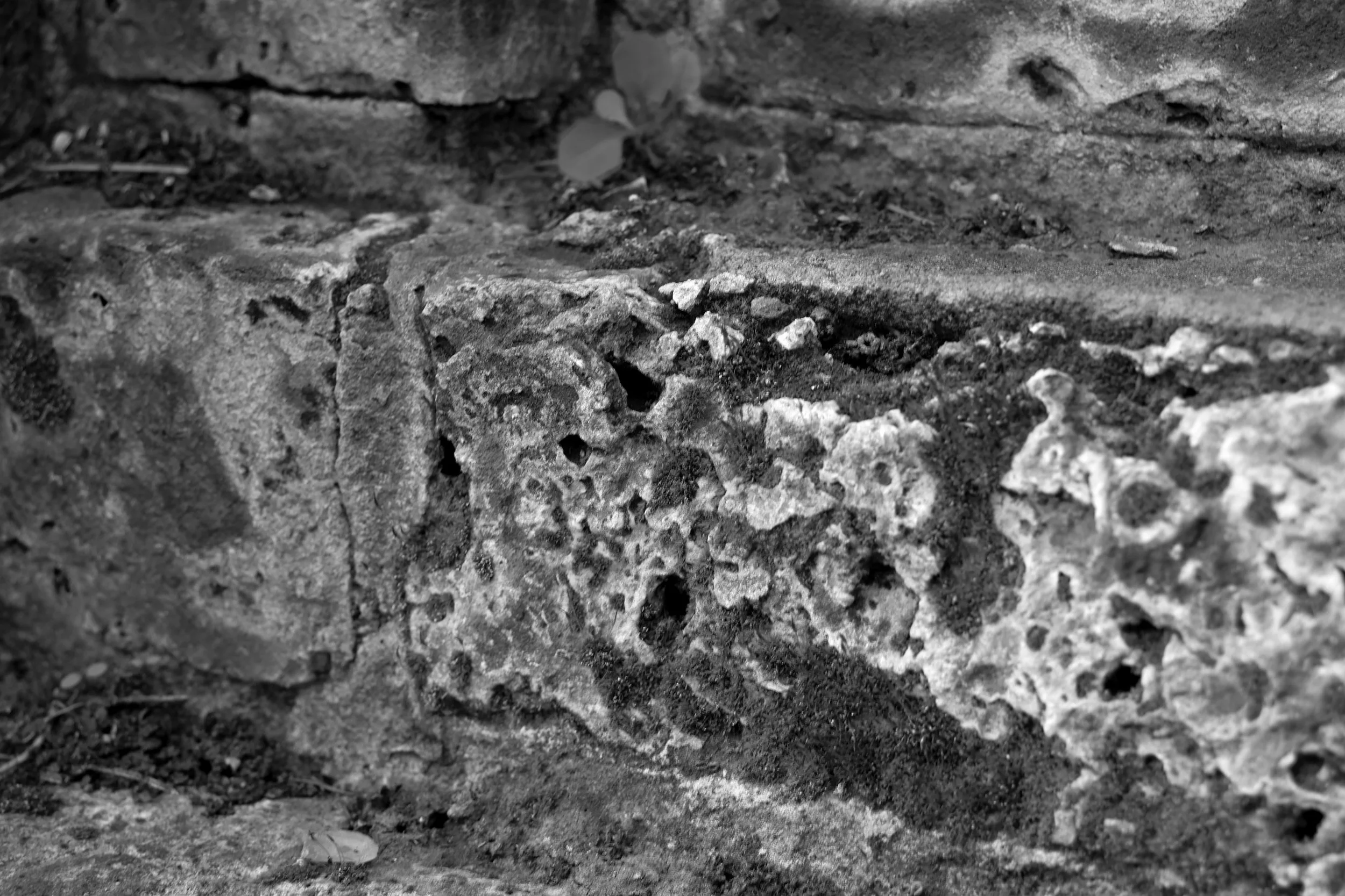 51.252456 N,1.311082 E