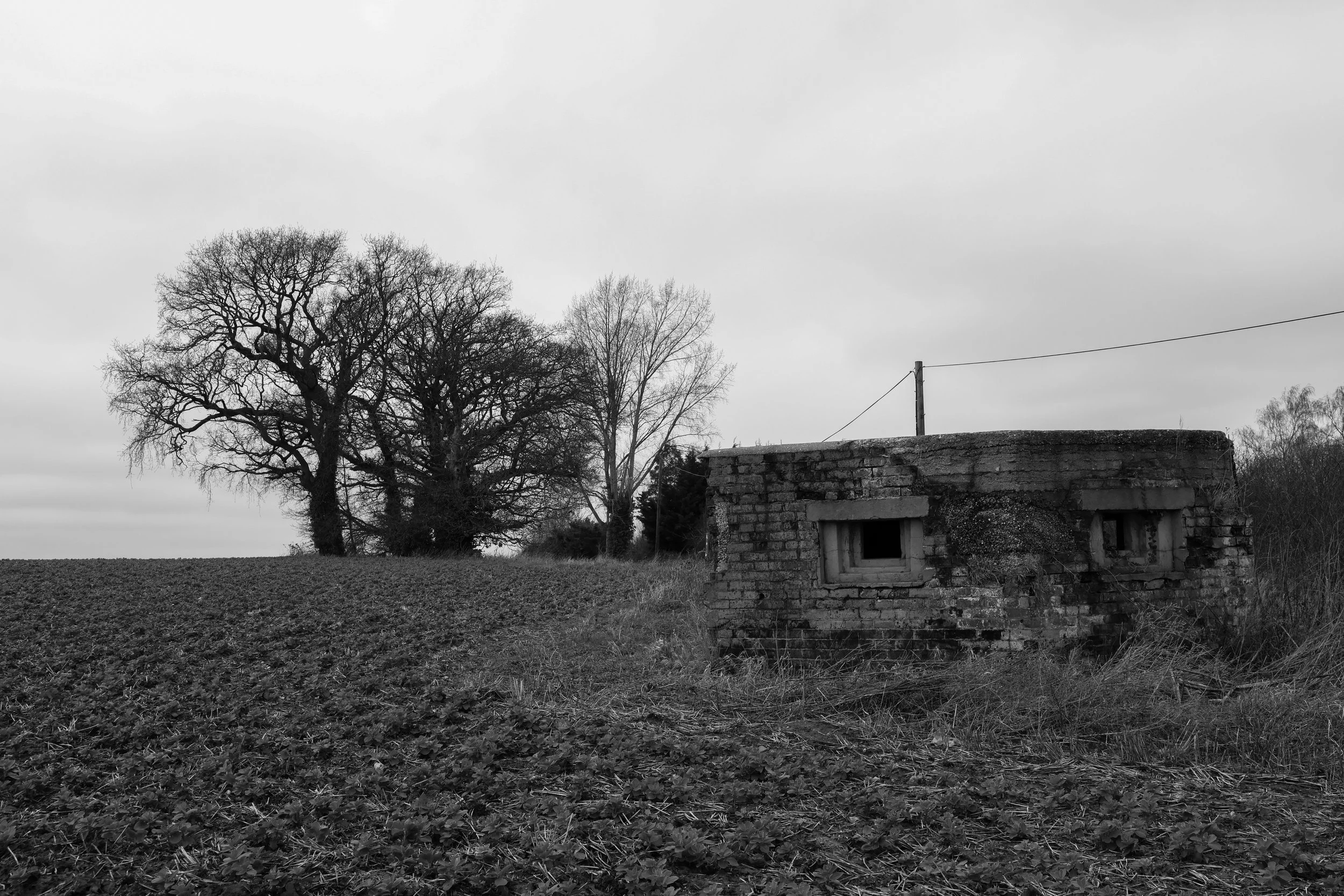 51°15'55.1"N 1°13'52.6"E