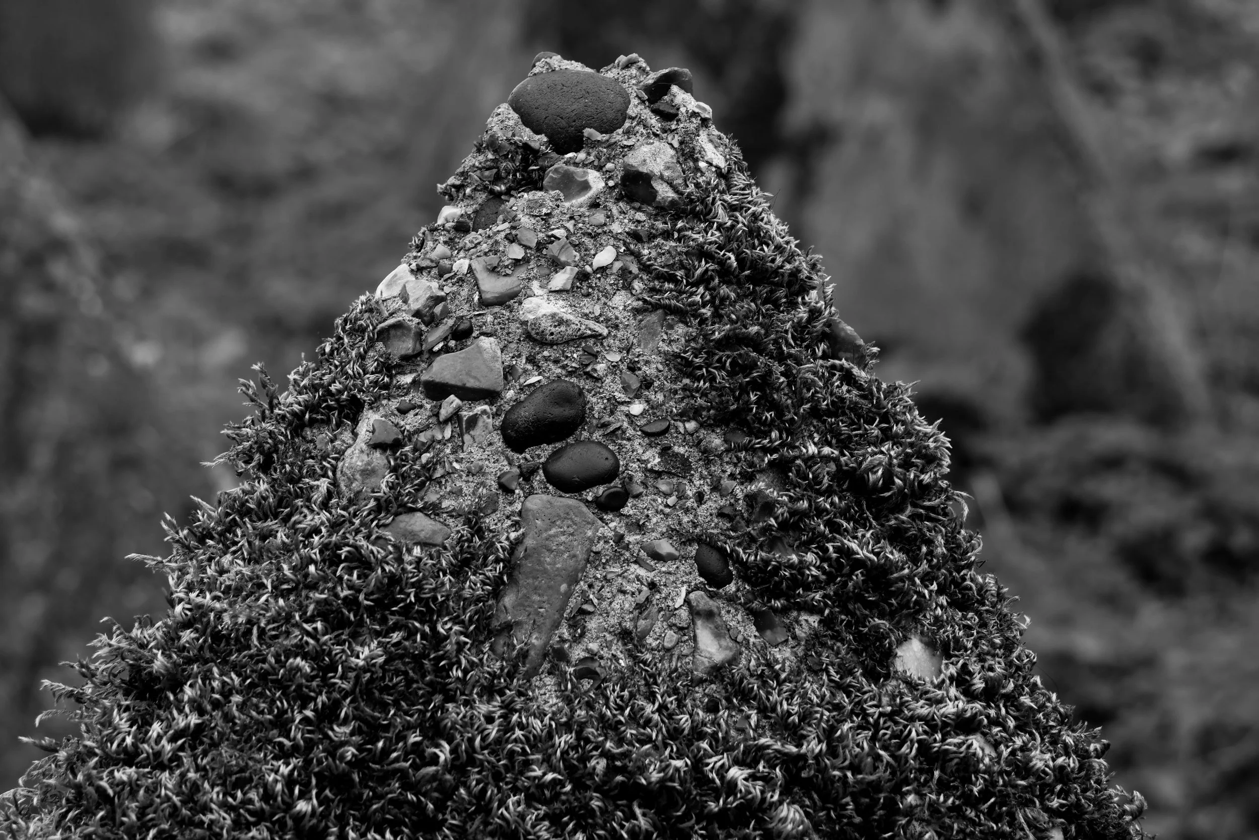 51.257732 N,1.152581 E