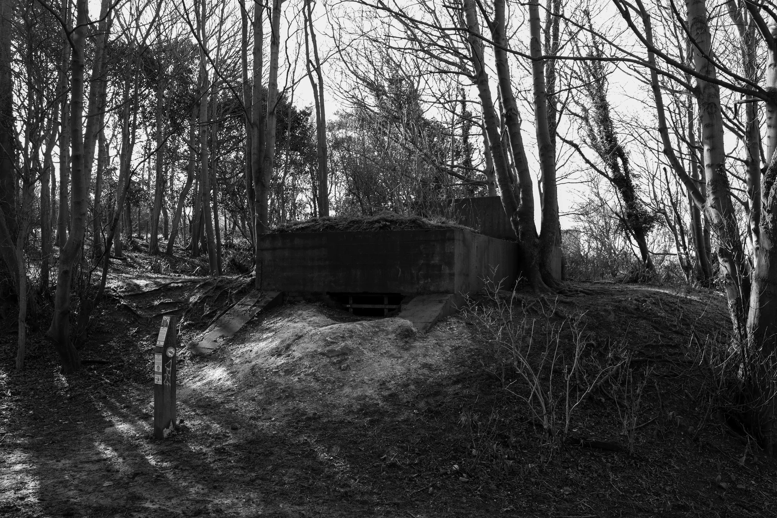 51°08'28.9"N 1°22'16.9"E