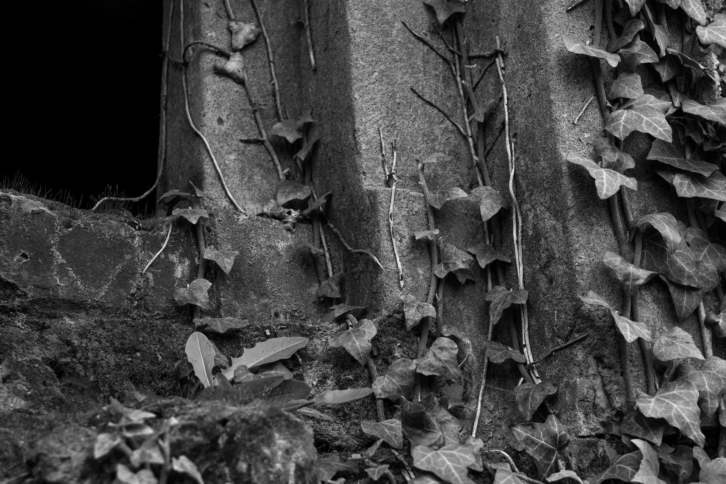 51.266010 N,1.191791 E