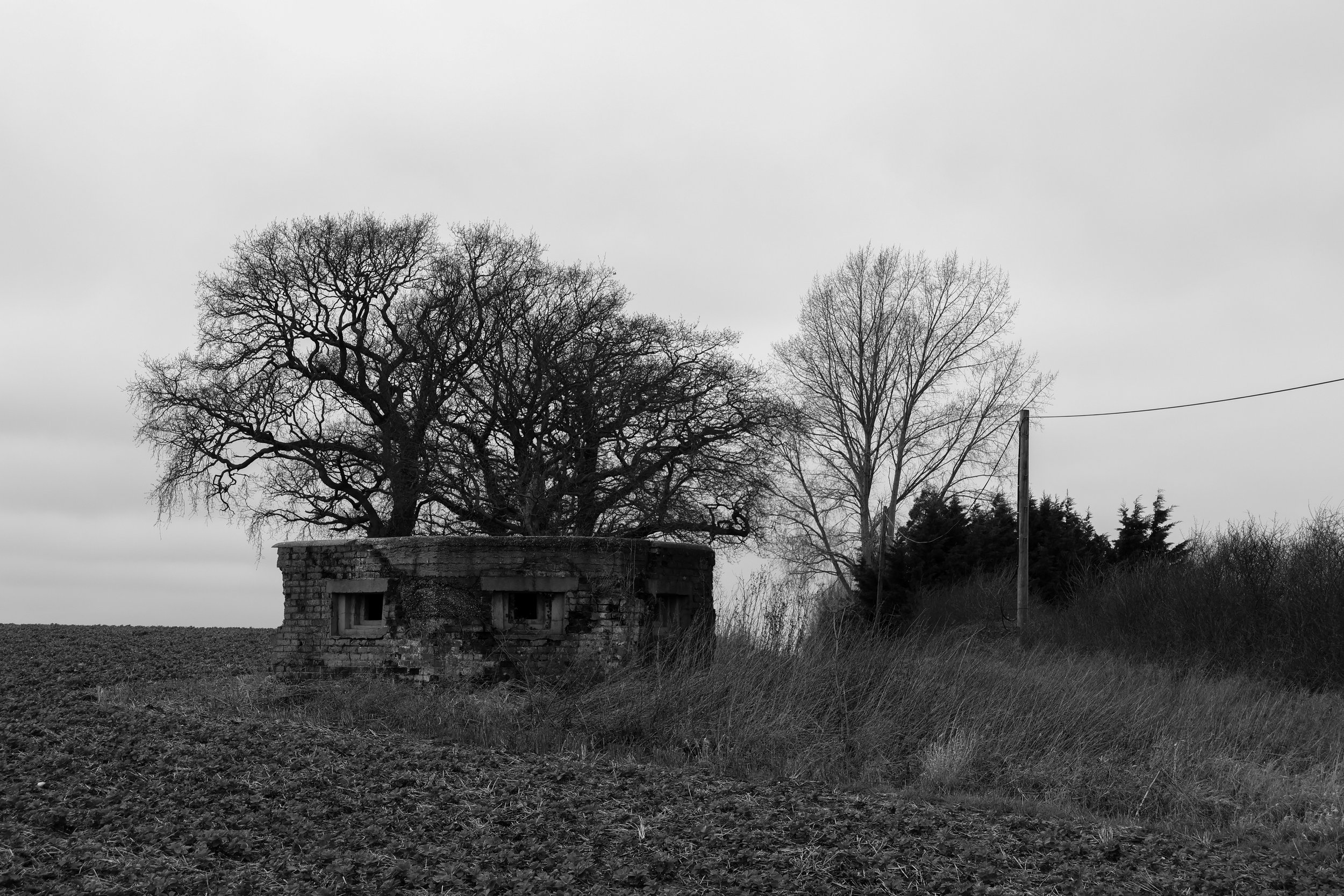 51°15'55.1"N 1°13'52.6"E