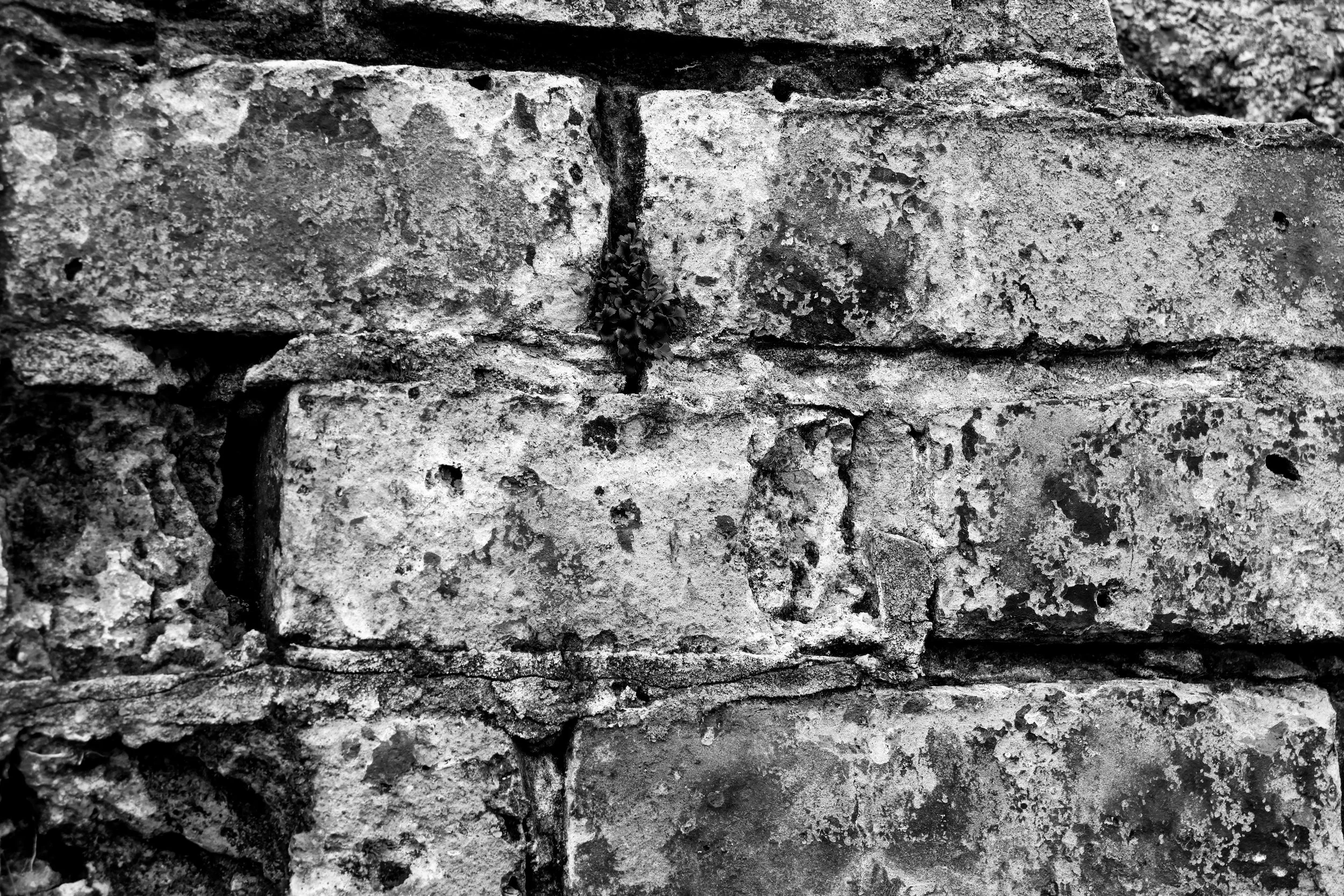 51°15'55.1"N 1°13'52.6"E