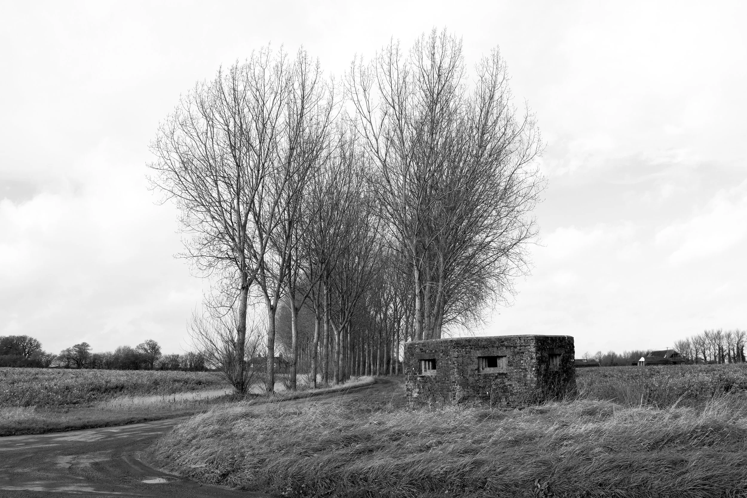 51°15'34.0"N 1°14'24.8"E