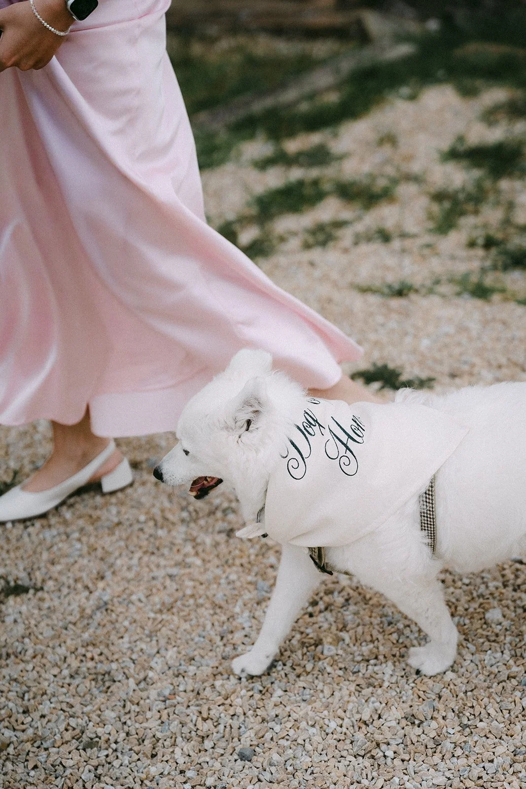 yvonneundmarcowedding-370.jpg
