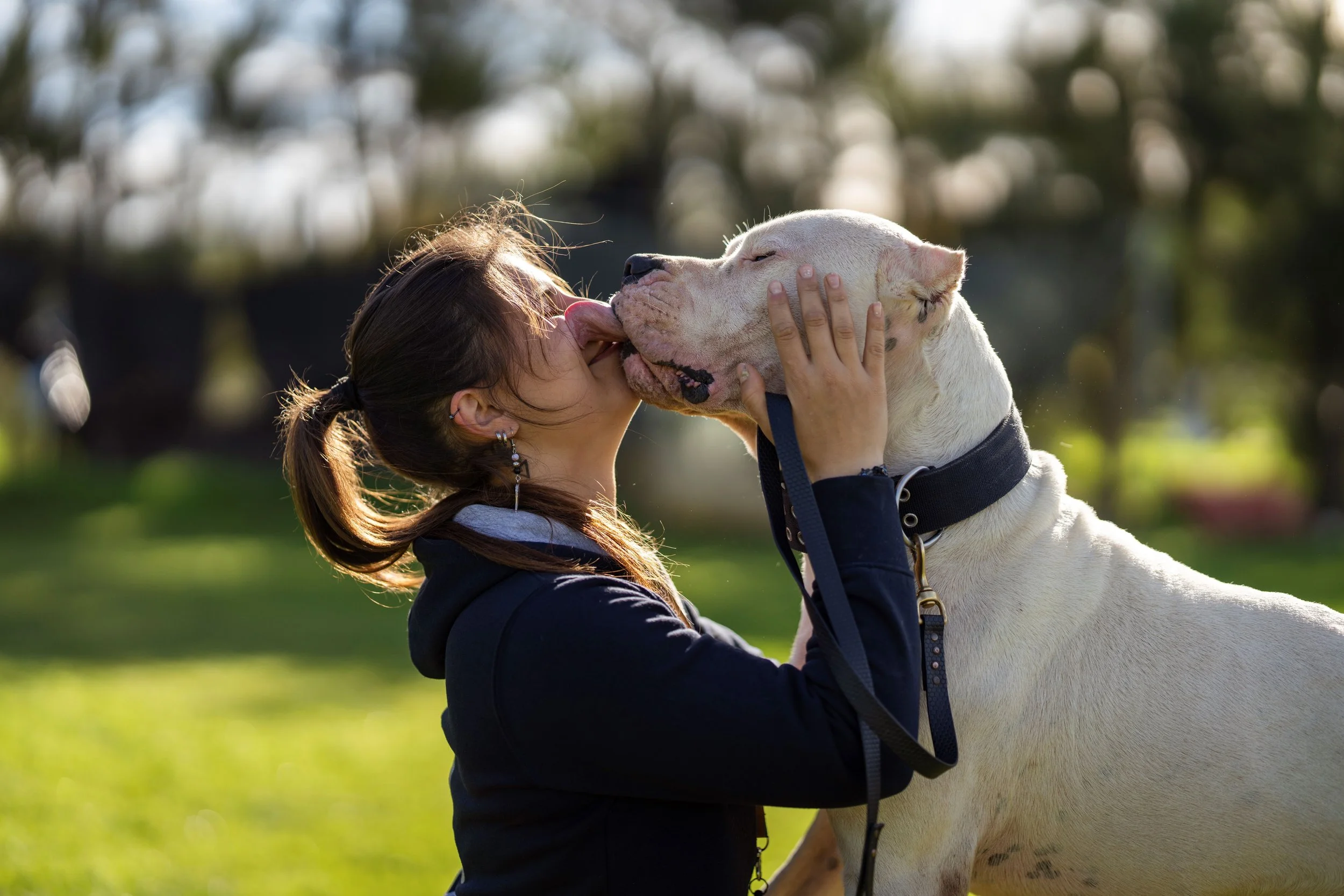 Mulher e cachorro gigante em um parque, a mulher está beijando a cabeça do cachorro.