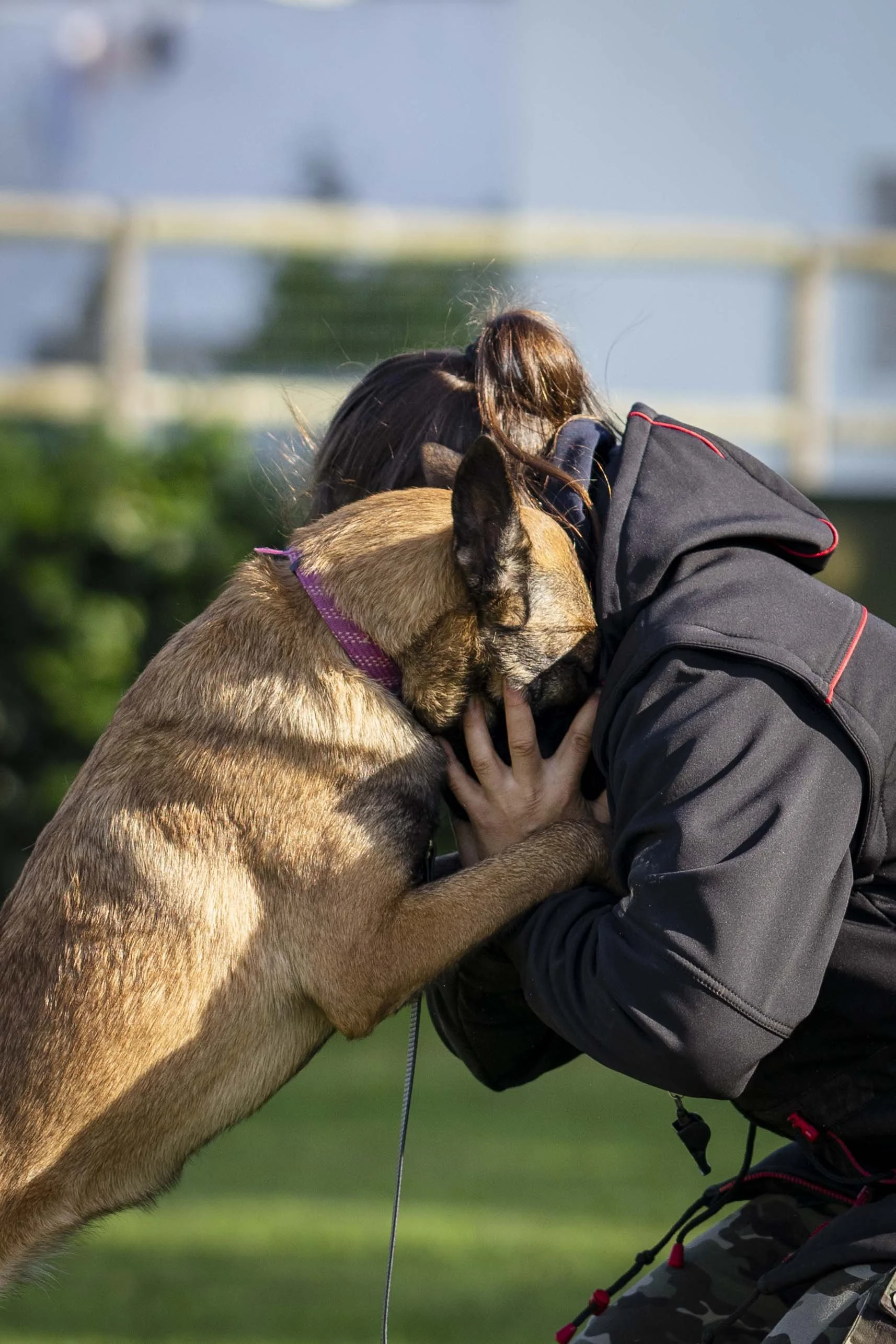 Pessoa e cachorro de rua se abraçando