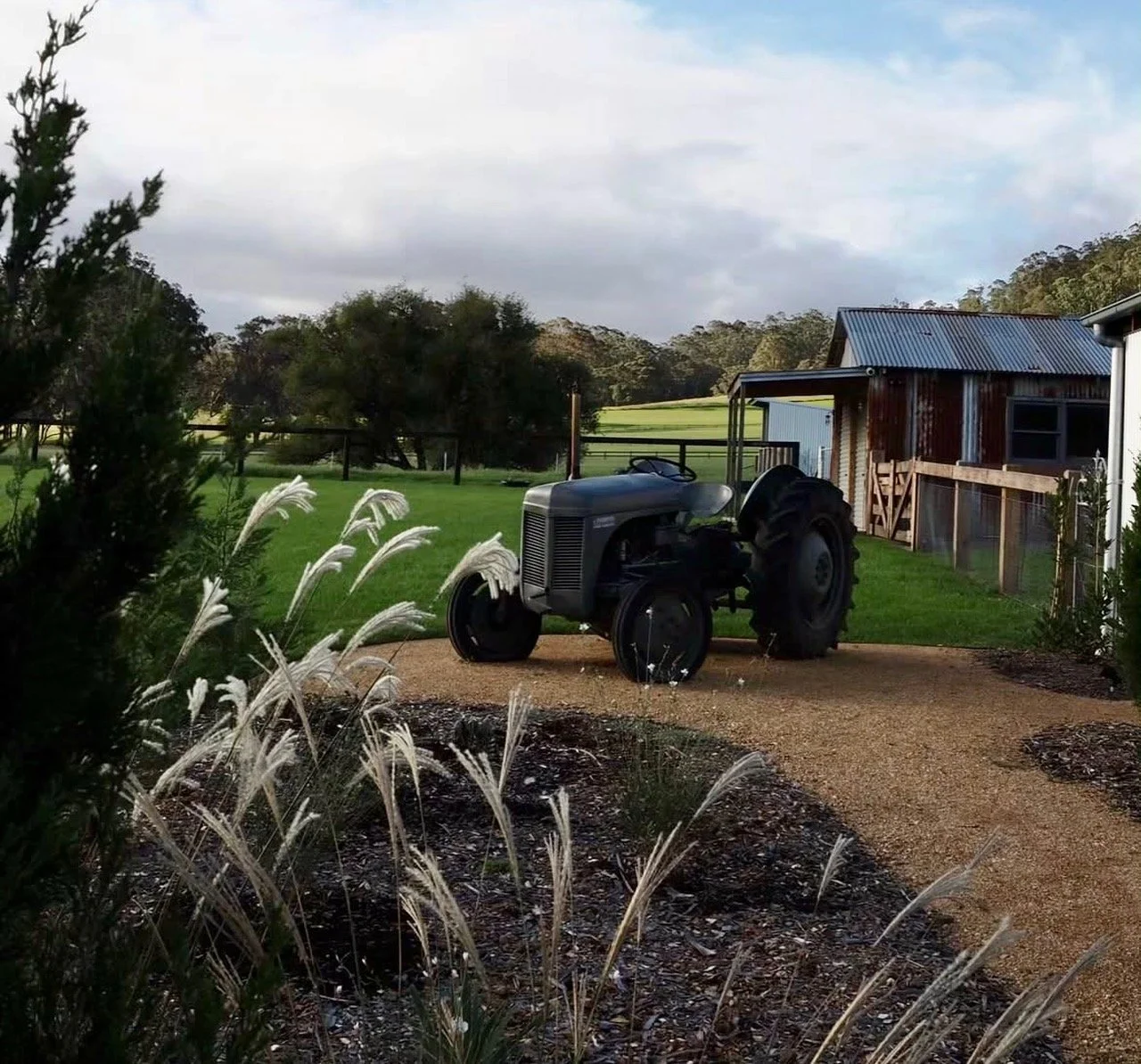 Garden 3 - ‘Moraea Farm’