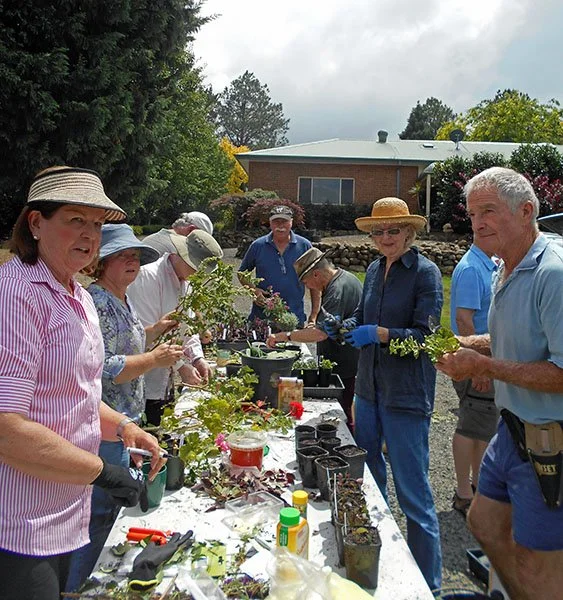 Plant Propagation Group