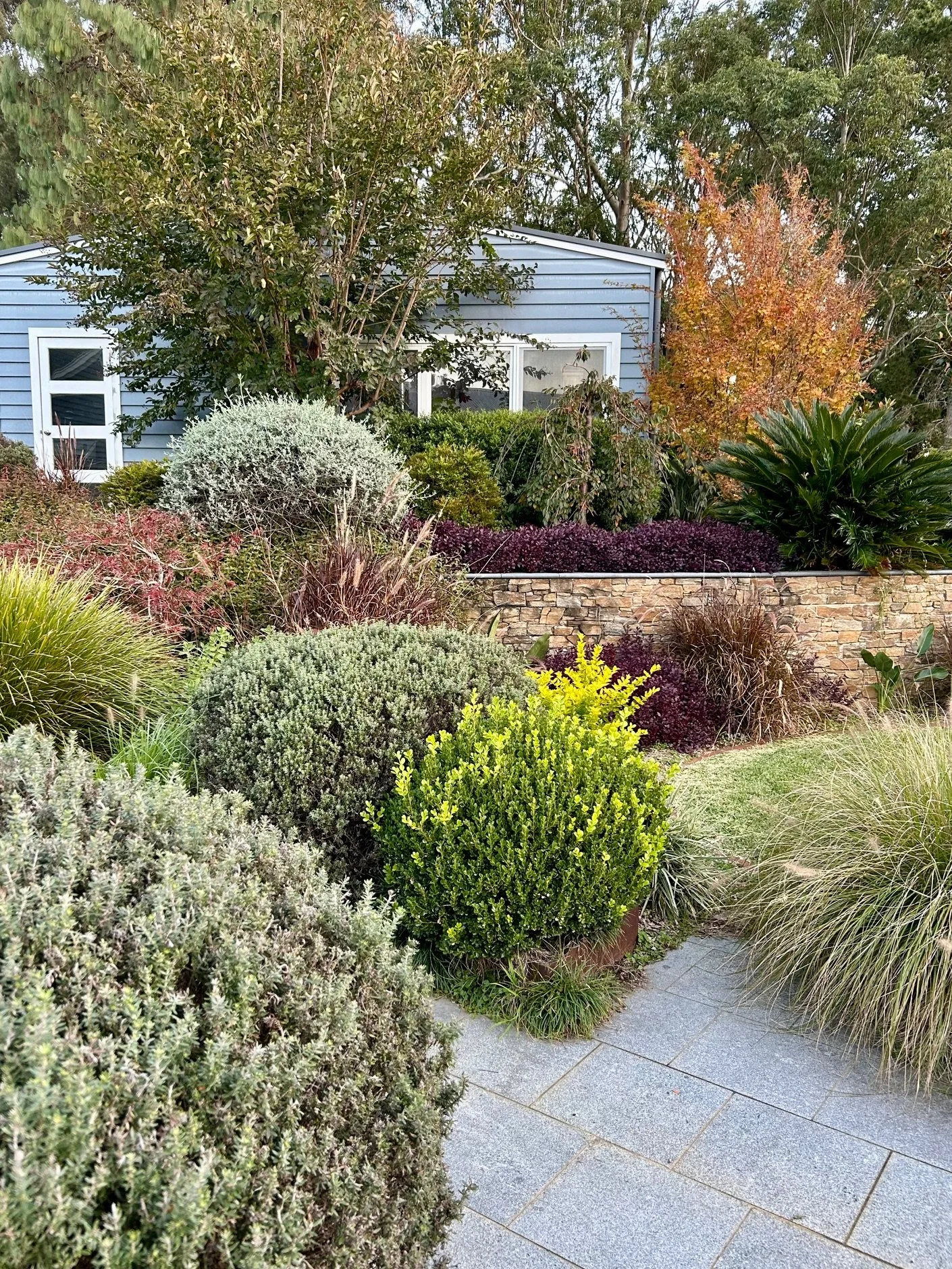 Garden 7 - Jack and Shena’s