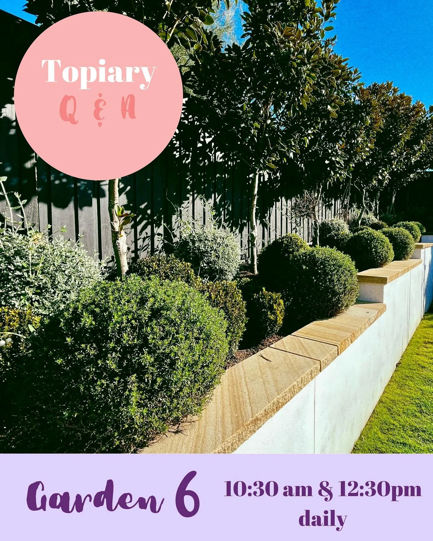 ✂️ Ever wondered how to shape a perfect spiral or keep your topiary looking sharp all year round? Join us for Topiary Q&amp;A with Hannah, who hand-prunes over 200 topiaries right on her small town block! 

10:30am and 12:30pm daily 
Garden 6 - Hanna