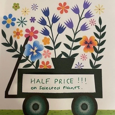 From noon today, the Plant Stall will have 50% off selected plants - plants that are already at great prices. Come down between noon and 3pm for an even bigger bargain!
Garden 7, 60 Strongs Road, Jaspers Brush
#plantsale #bargain #salvias #succulents