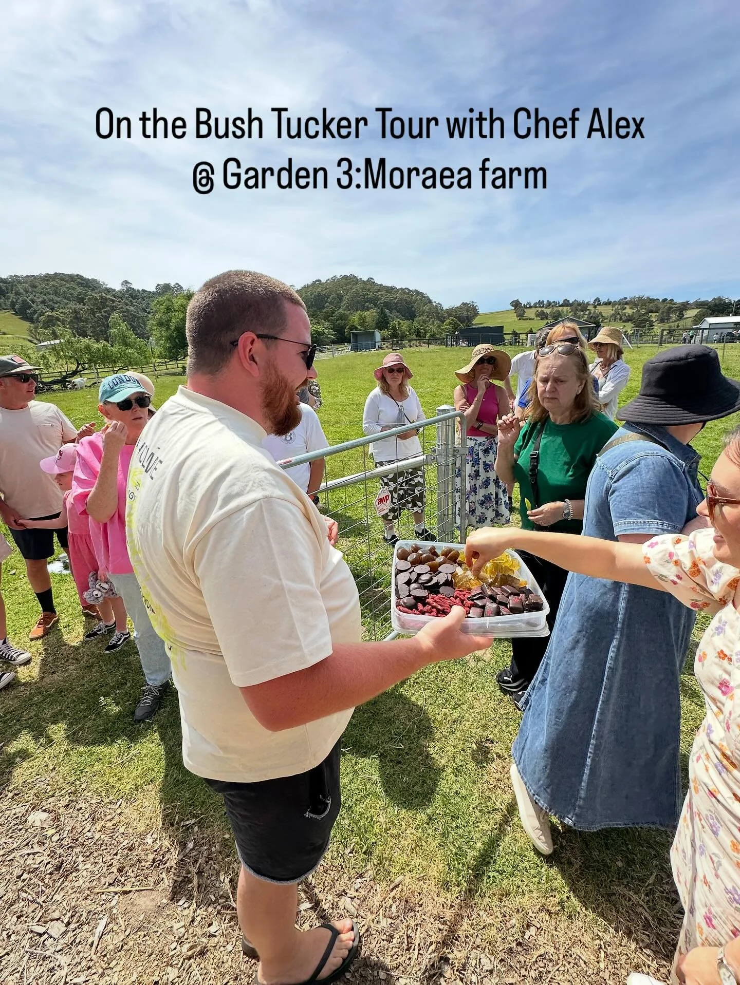Chef Alex is passionate about bush tucker and paddock to plate. He also overseas what’s planted in the Moraea Farm gigantic kitchen garden.🥦🥒🥕🌽We were thrilled to have him take tours as part of the festival this year.
#berrygardensfestival2