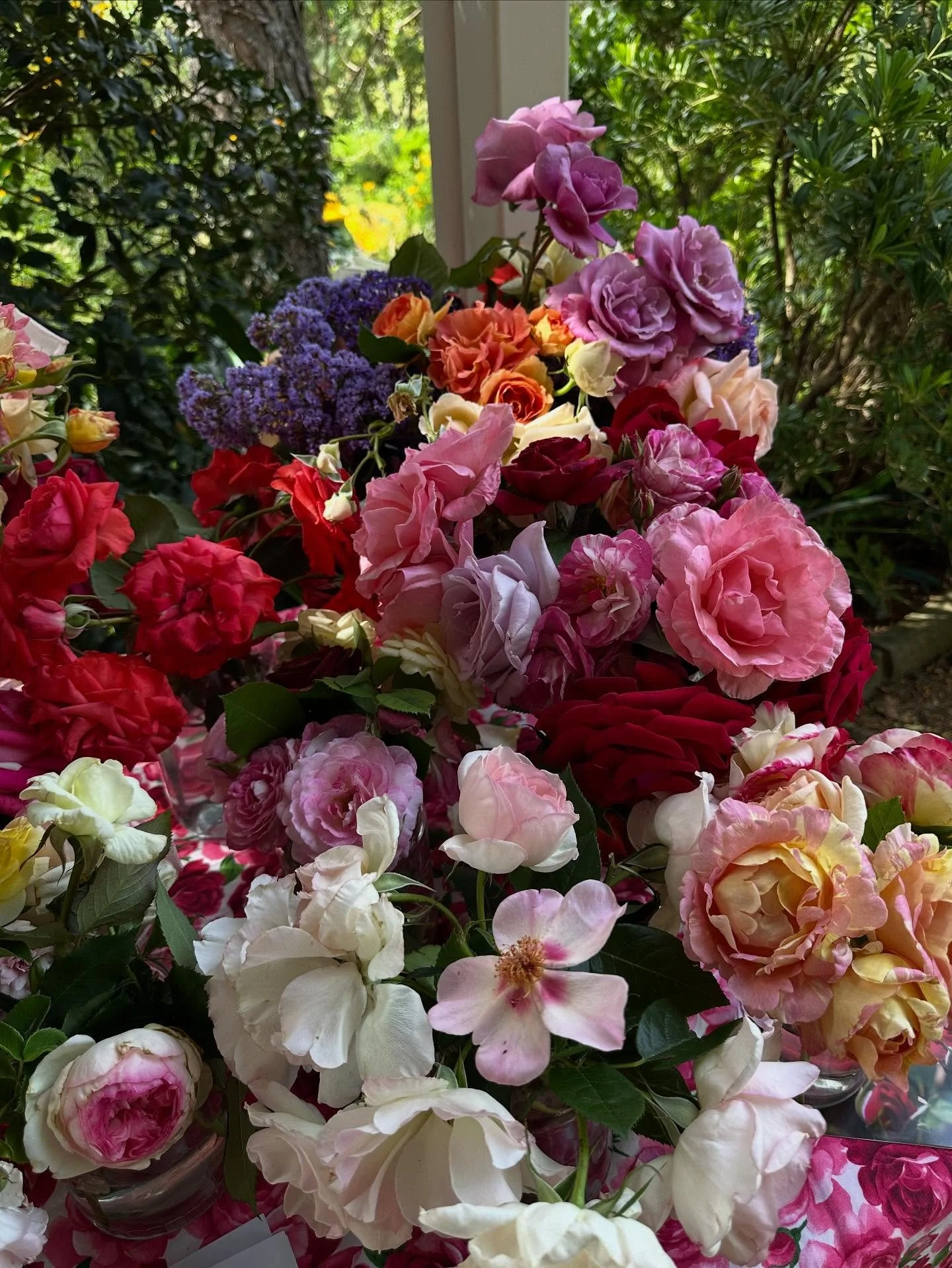 Did you see the gorgeous rose display by the Illawarra Rose Society at Garden 2? This collection of covetable blooms was put together by members from their own gardens. (Some Berry people among them).
Can someone name some of the rarer and special ro
