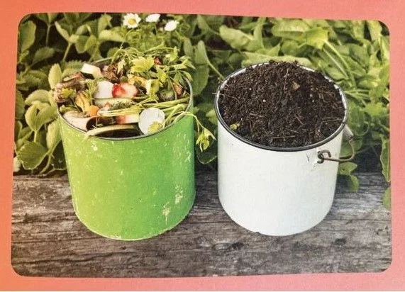 Jodie Sewell’s Guide to Composting