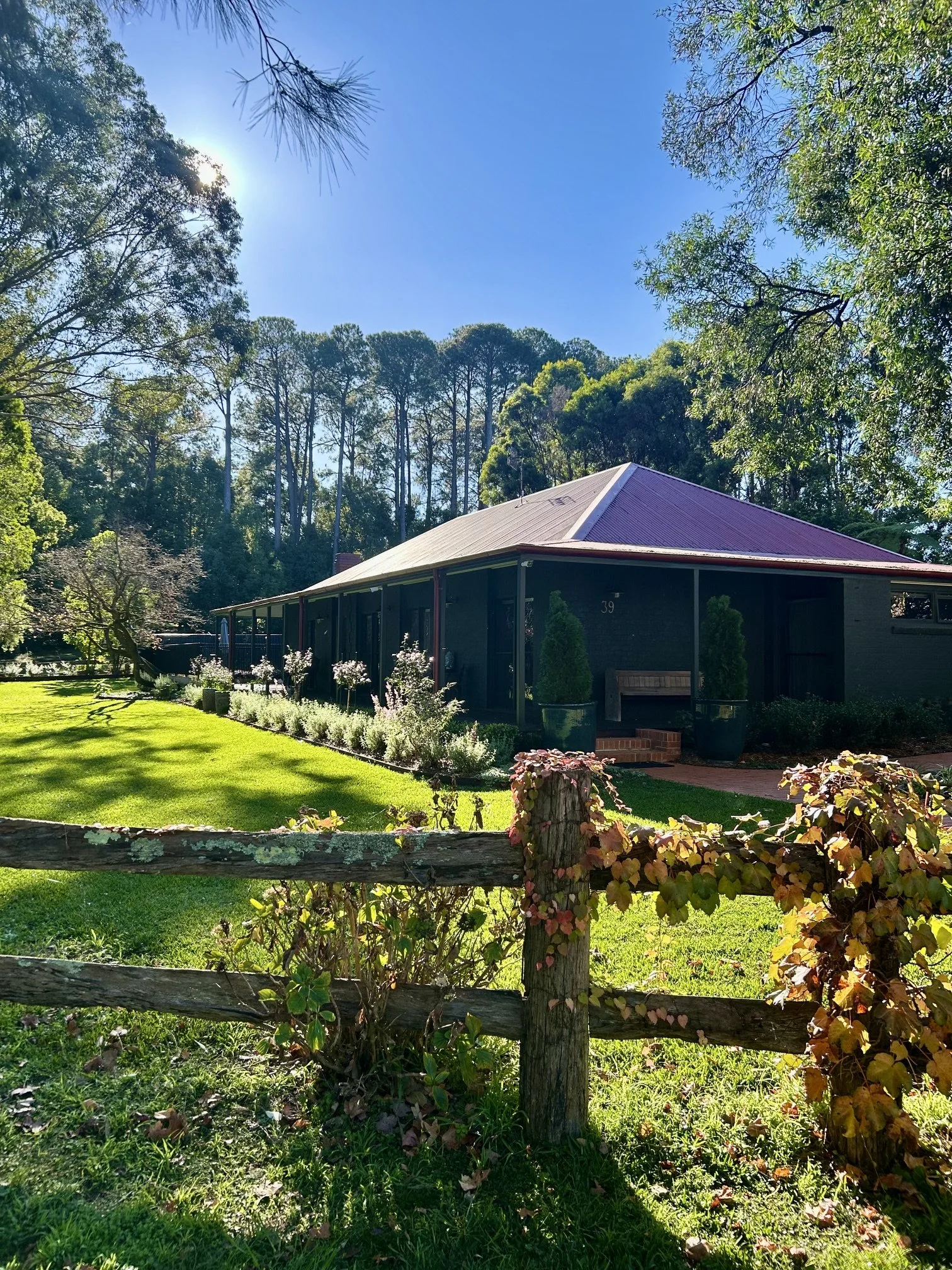 Garden 3 - Peter's garden