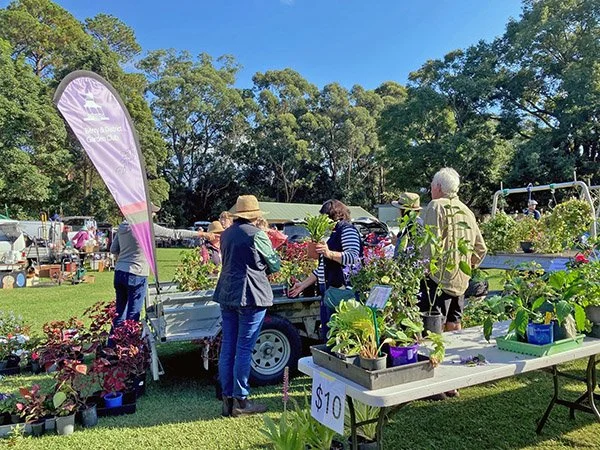 Plant Sales