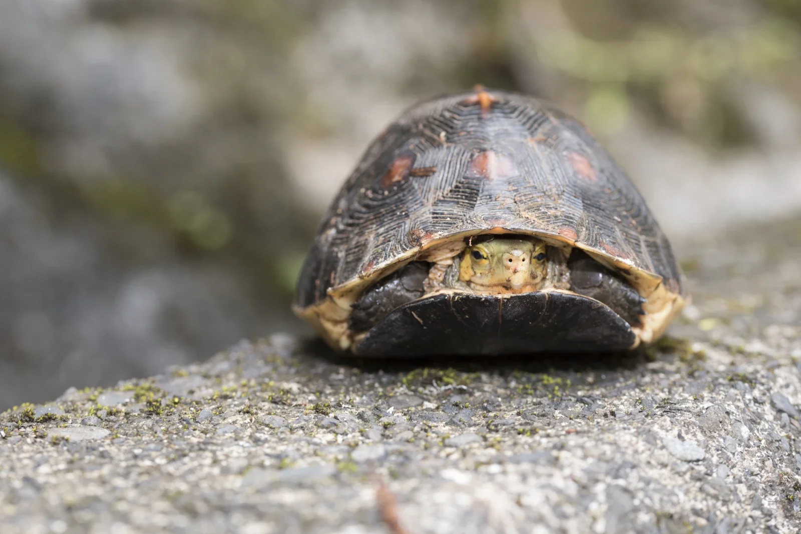 Why is it so hard to change, even when we know what helps?