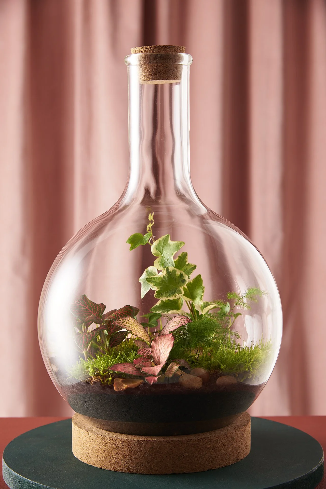 LondonTerrariums_071119_2756.jpg