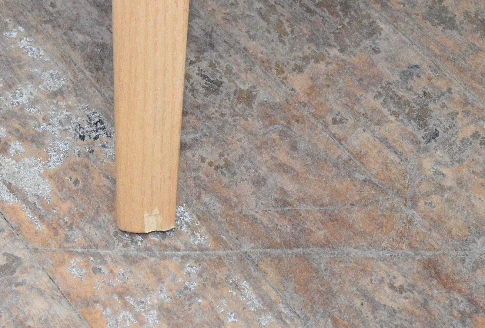 SQ820948713.jpg