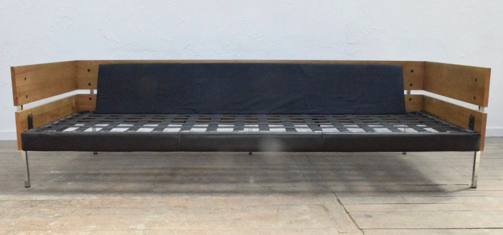 SQ22568858.jpg