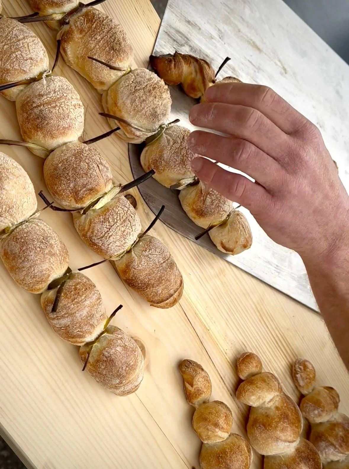 WhatsApp Image 2026-03-18 at 09.41.00.jpeg