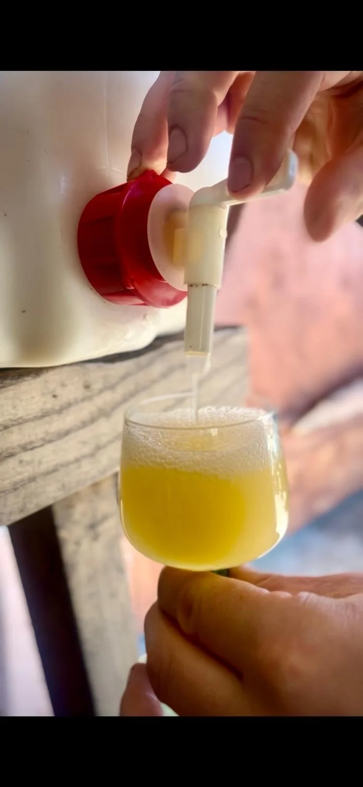 WhatsApp Image 2026-03-18 at 09.56.16 (4).jpeg