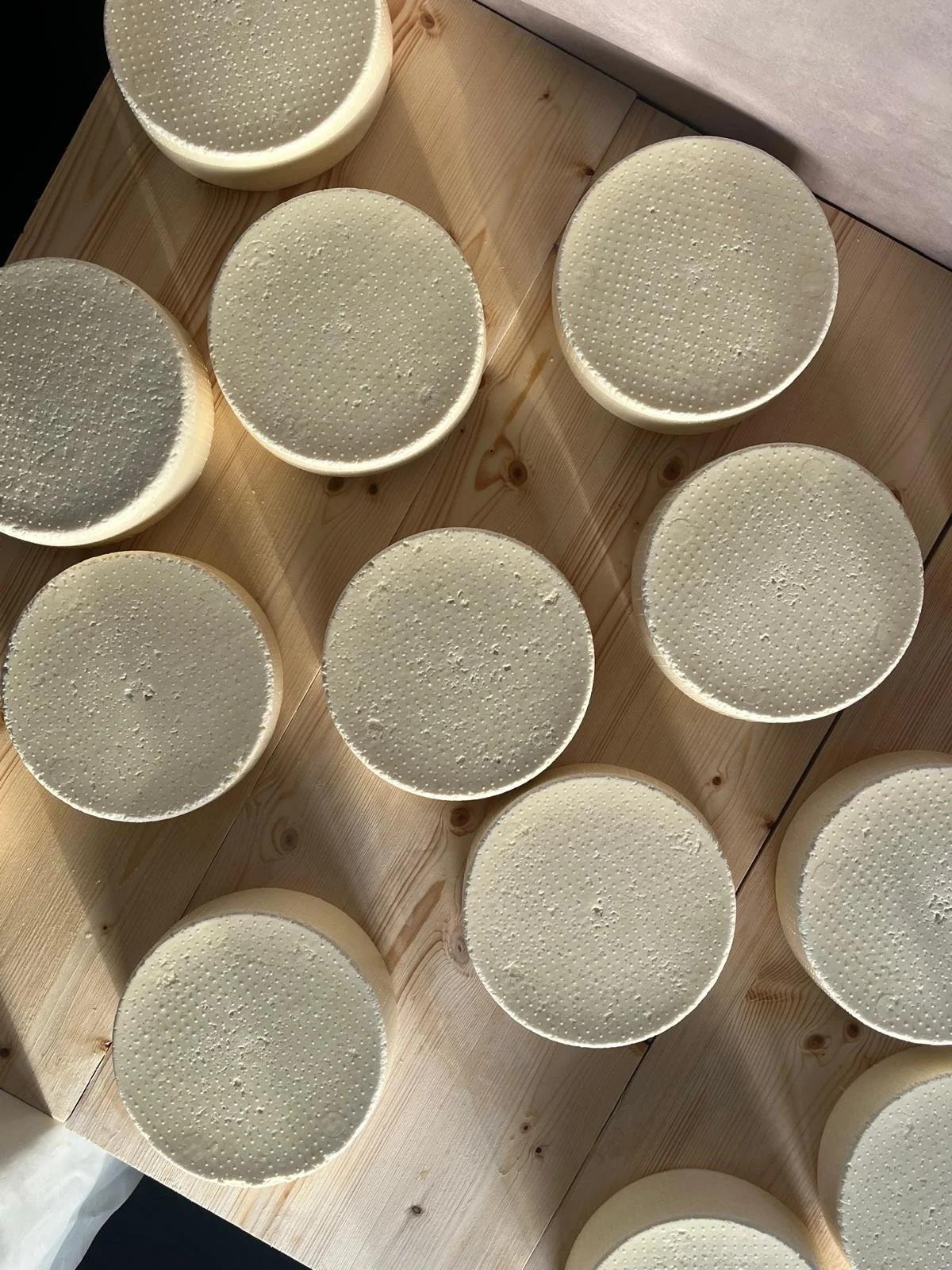 WhatsApp_Billede 2025-06-16 kl. 10.31.15_97618dbb.jpg