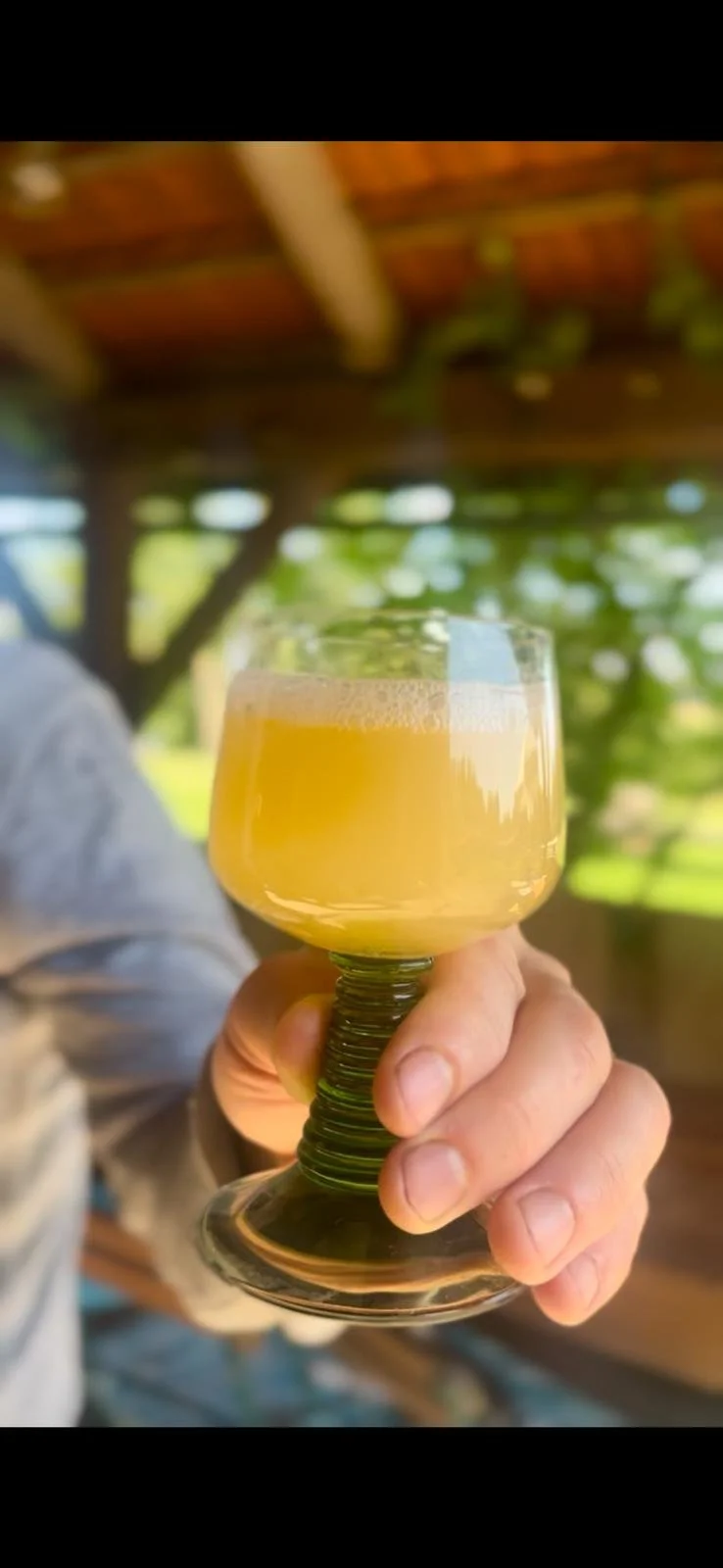 WhatsApp Image 2026-03-18 at 09.56.15.jpeg