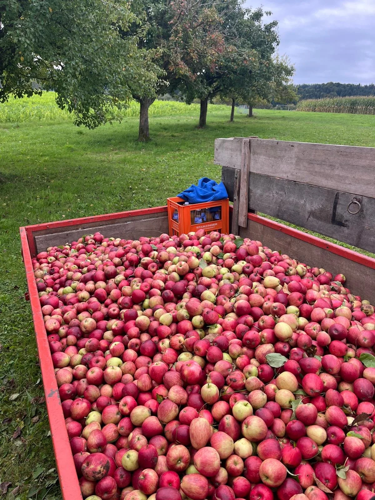 WhatsApp Image 2026-03-18 at 10.13.04.jpeg